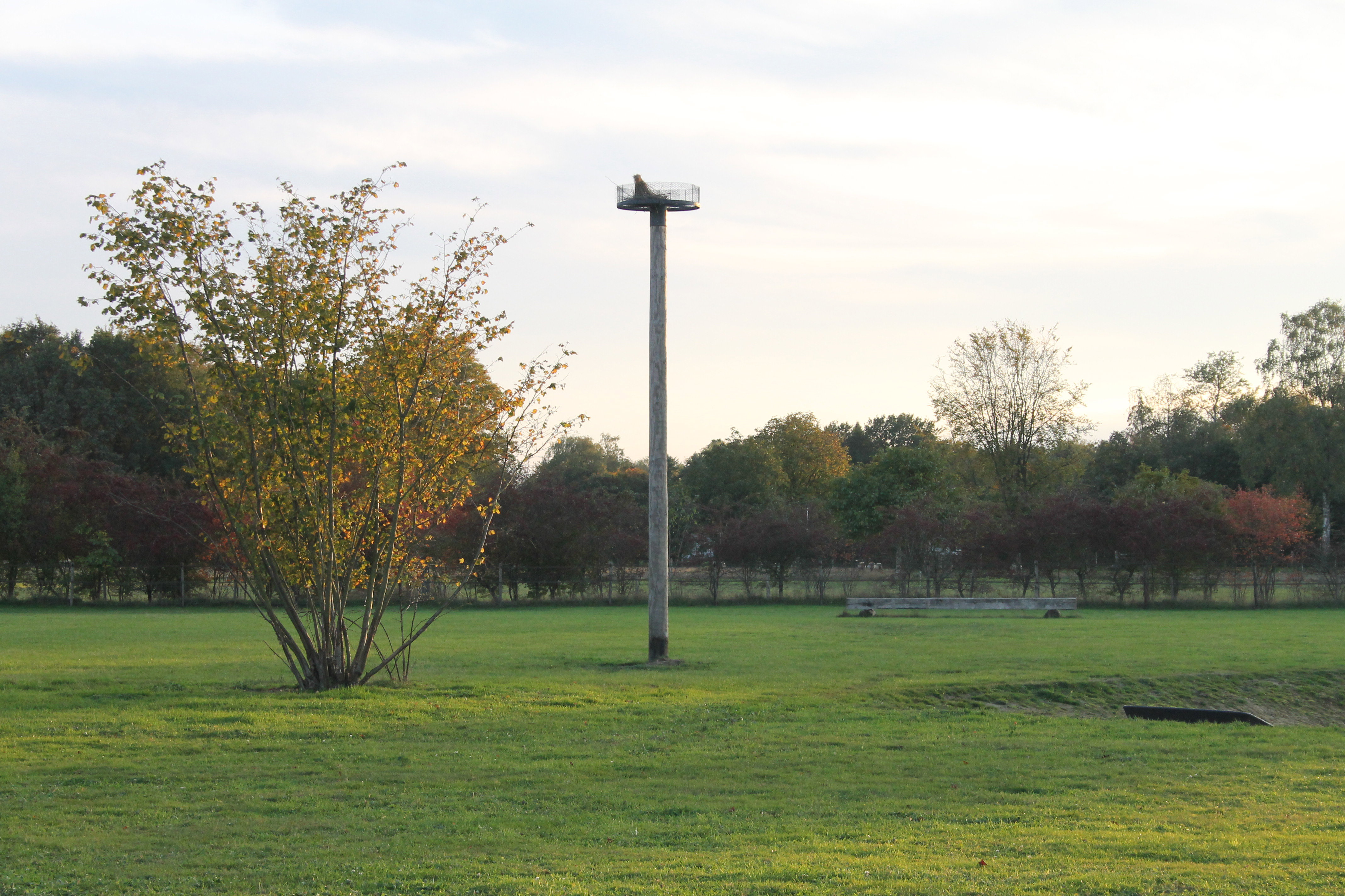 Naturhäuschen in Gorssel