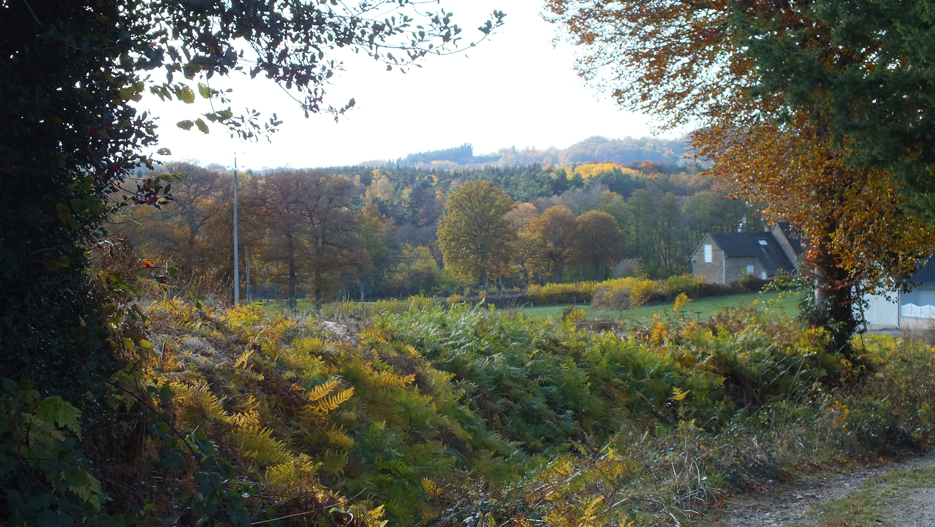- image: 22