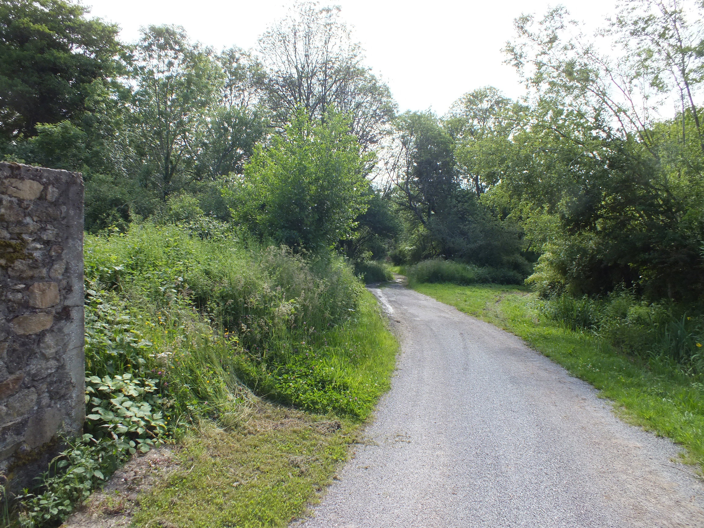 - image: 19