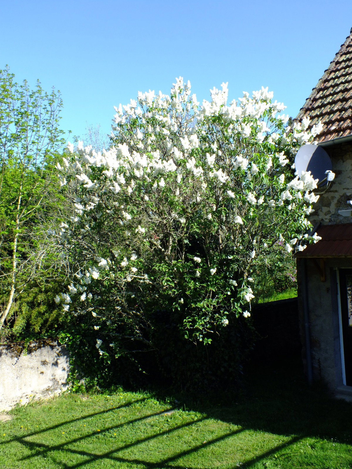 - image: 16