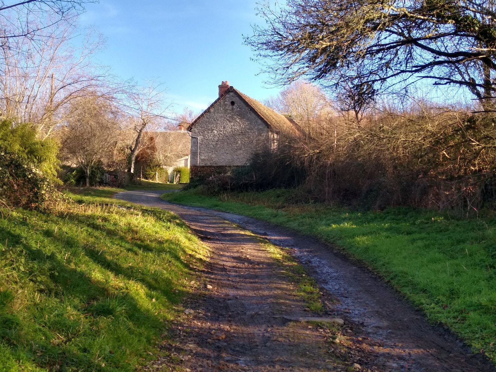 - image: 20