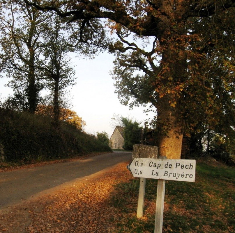- image: 26
