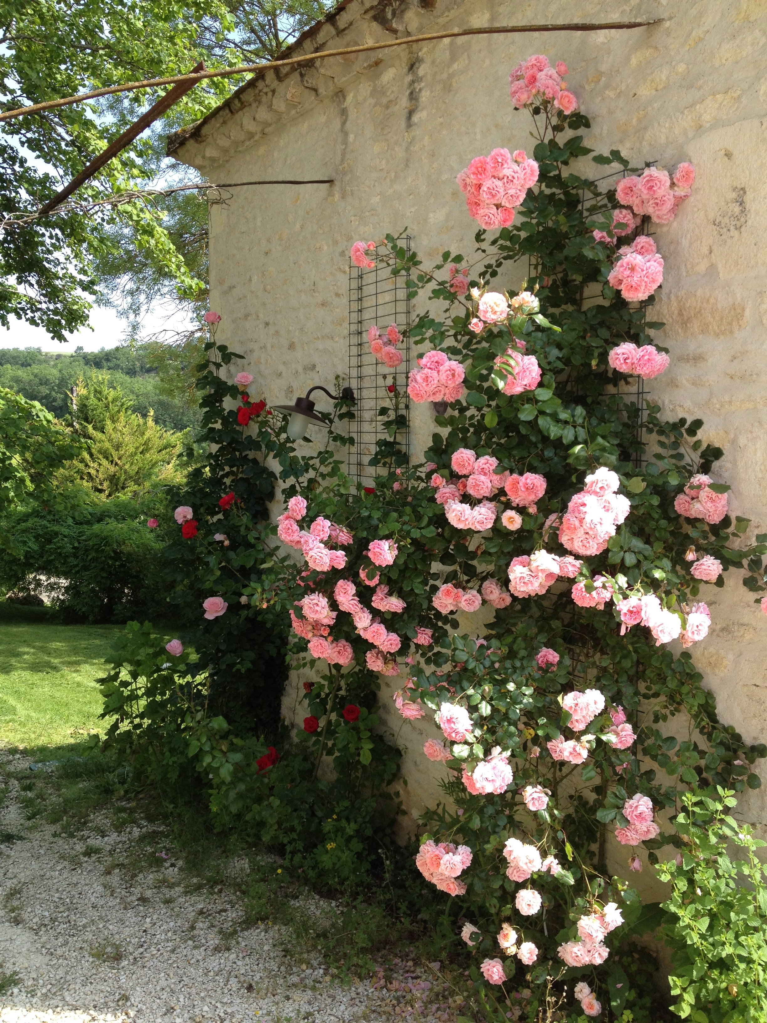 - image: 22