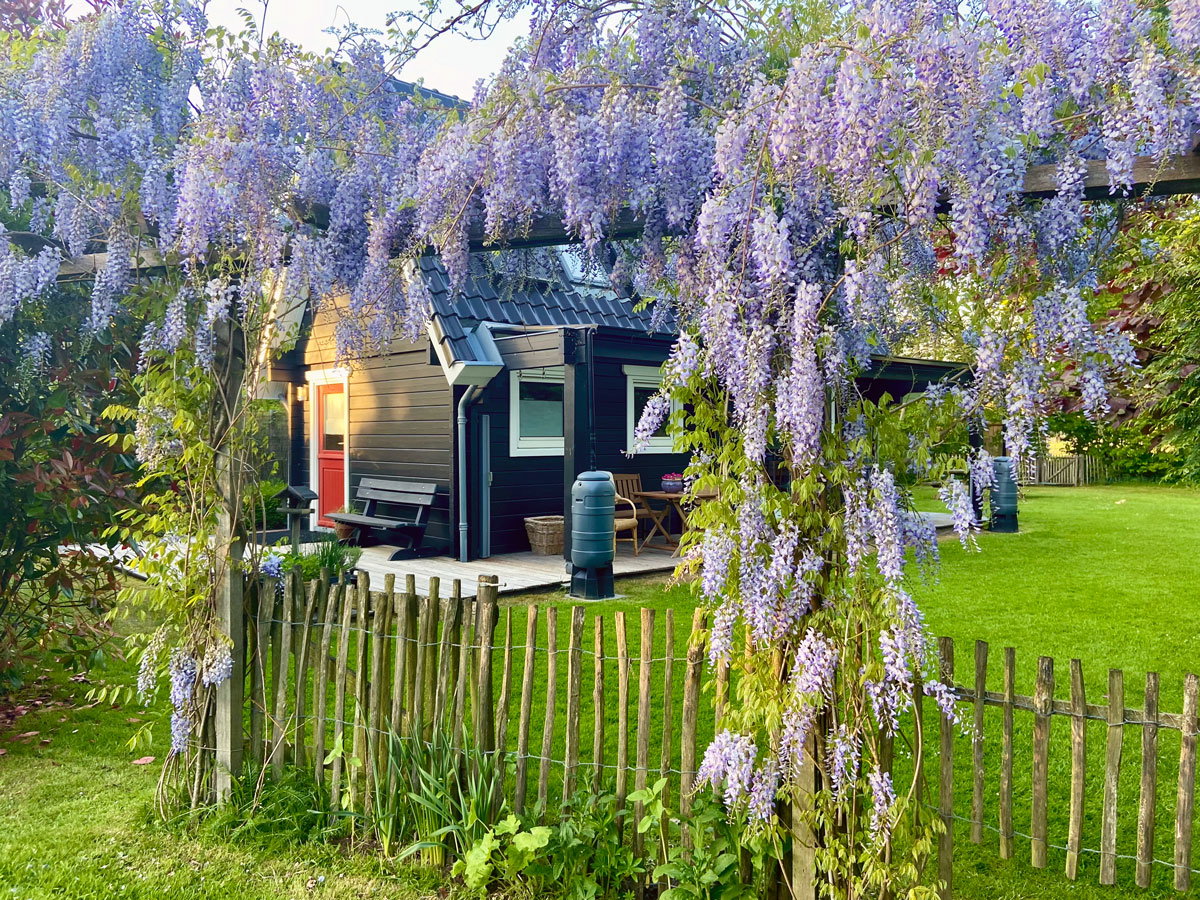 Natuurhuisje in Bergen