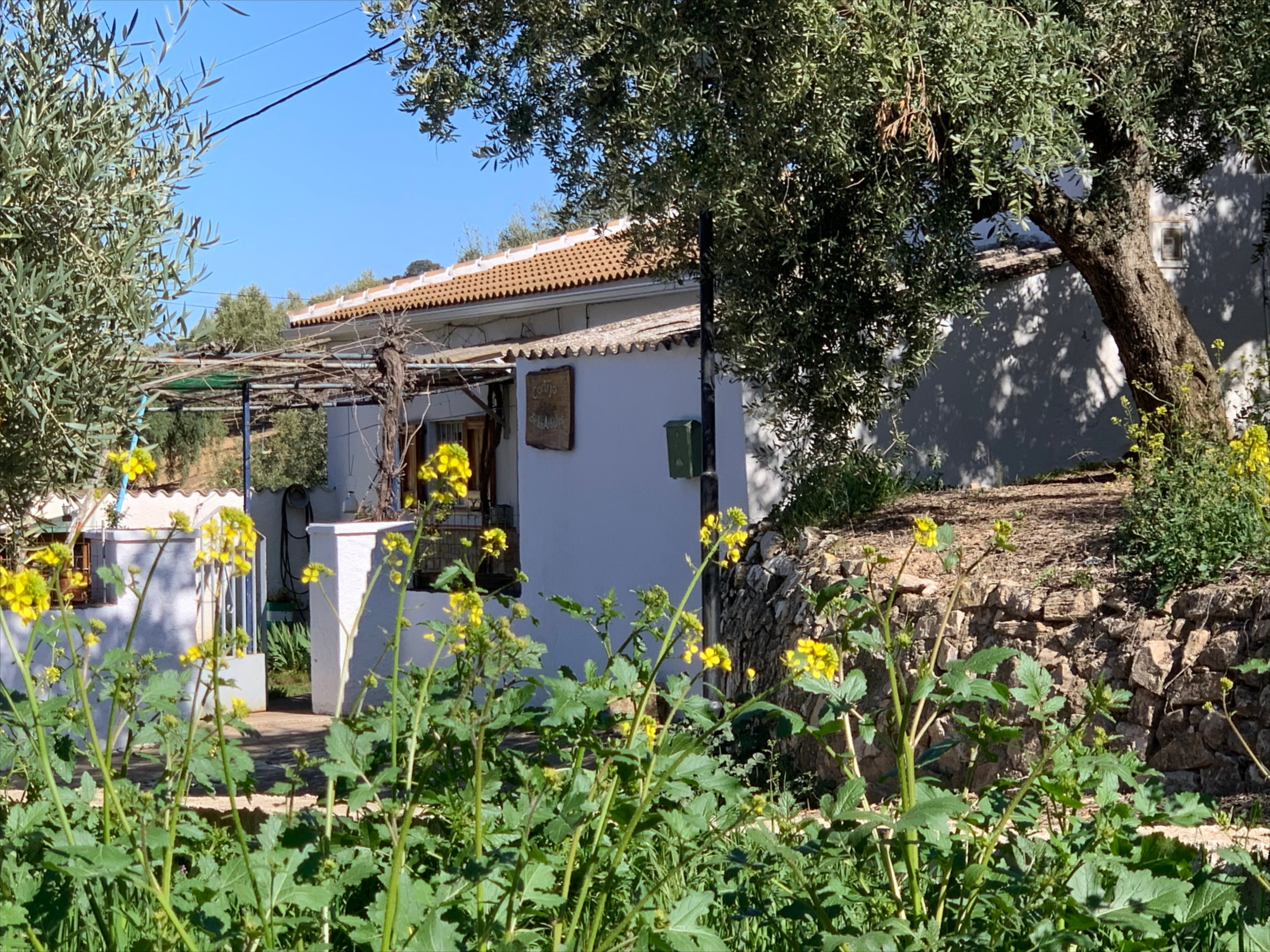 Natuurhuisje in Iznájar