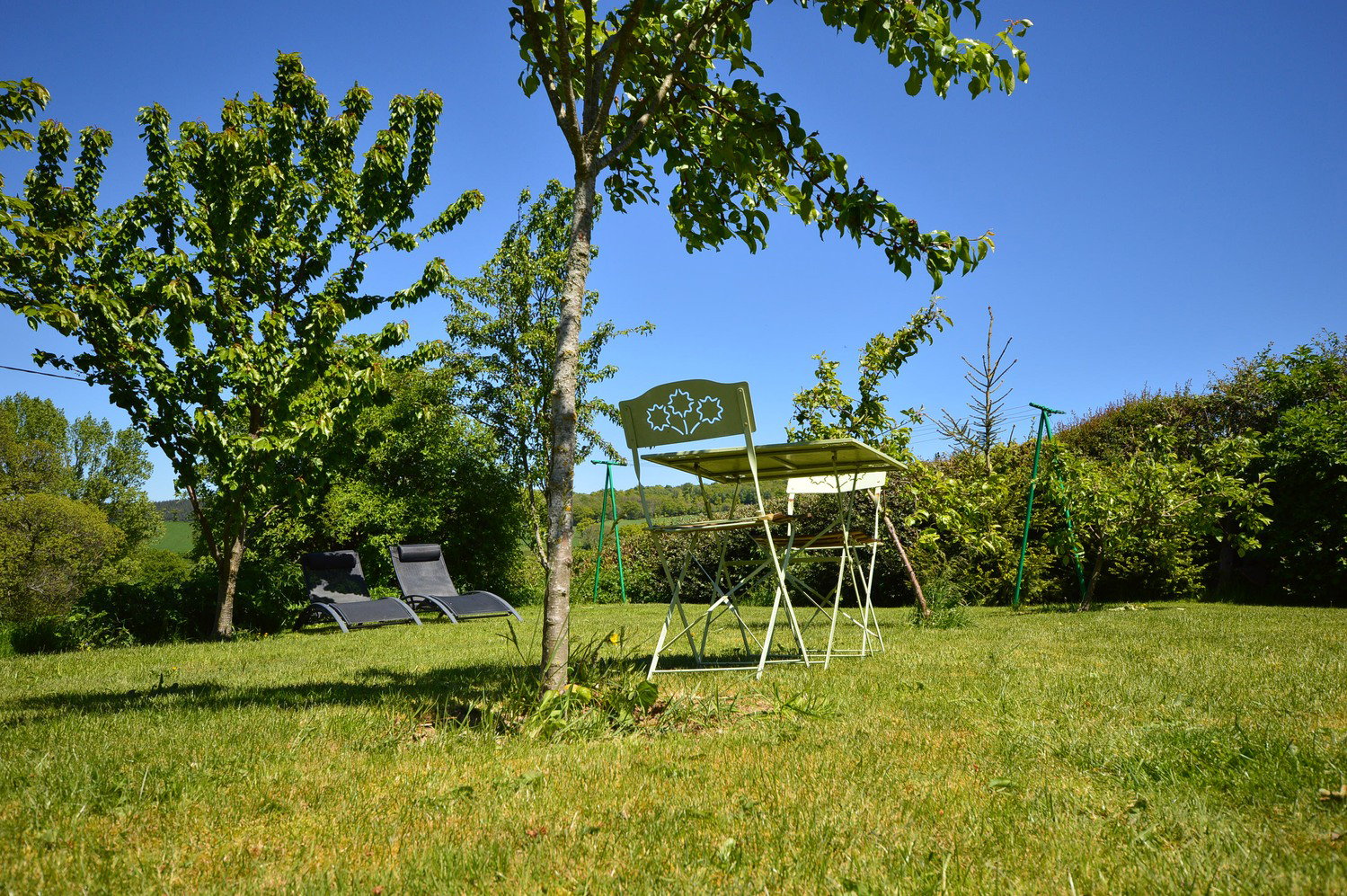 - image: 12
