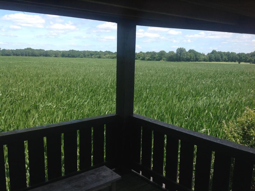 Natuurhuisje in Diever