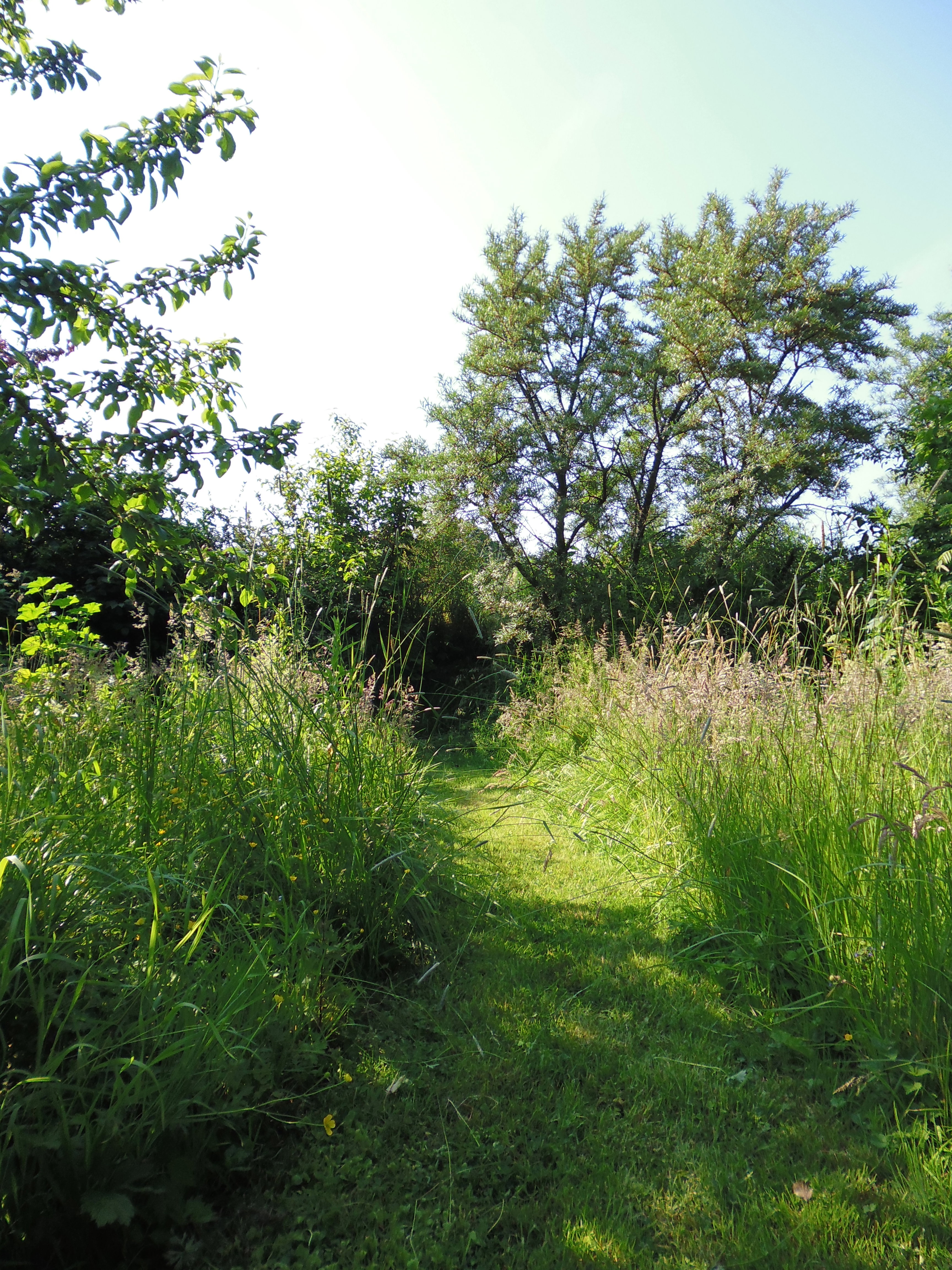 Natuurhuisje in Hemme