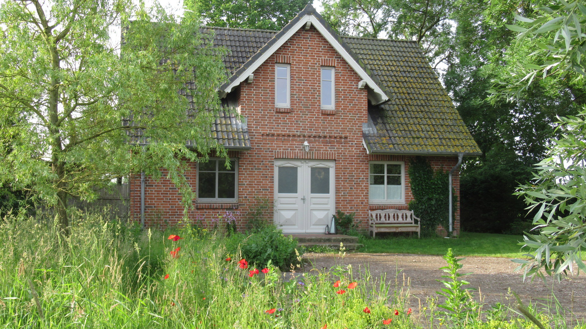 - image: 23