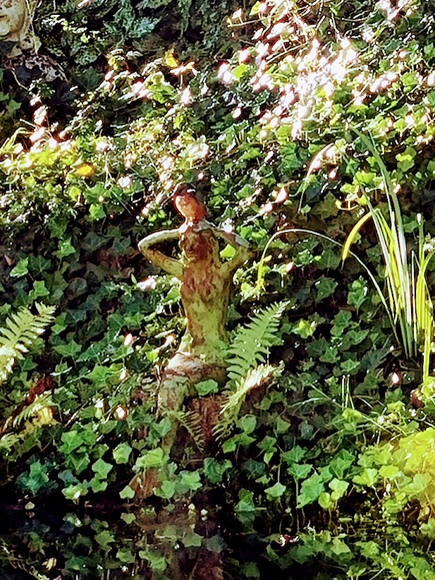 Maison nature à Epe