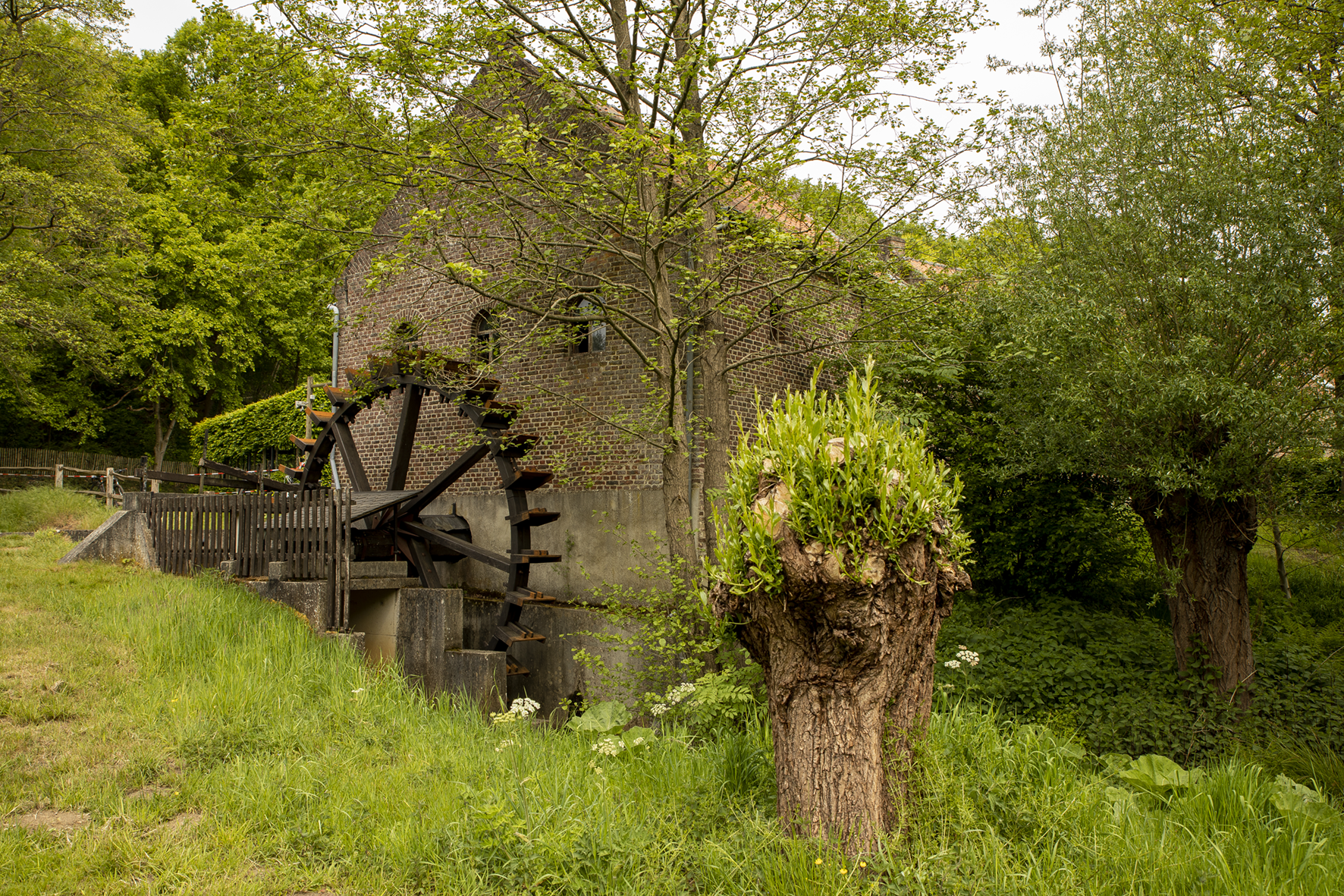 - image: 46