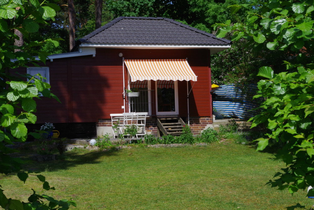 - image: 1