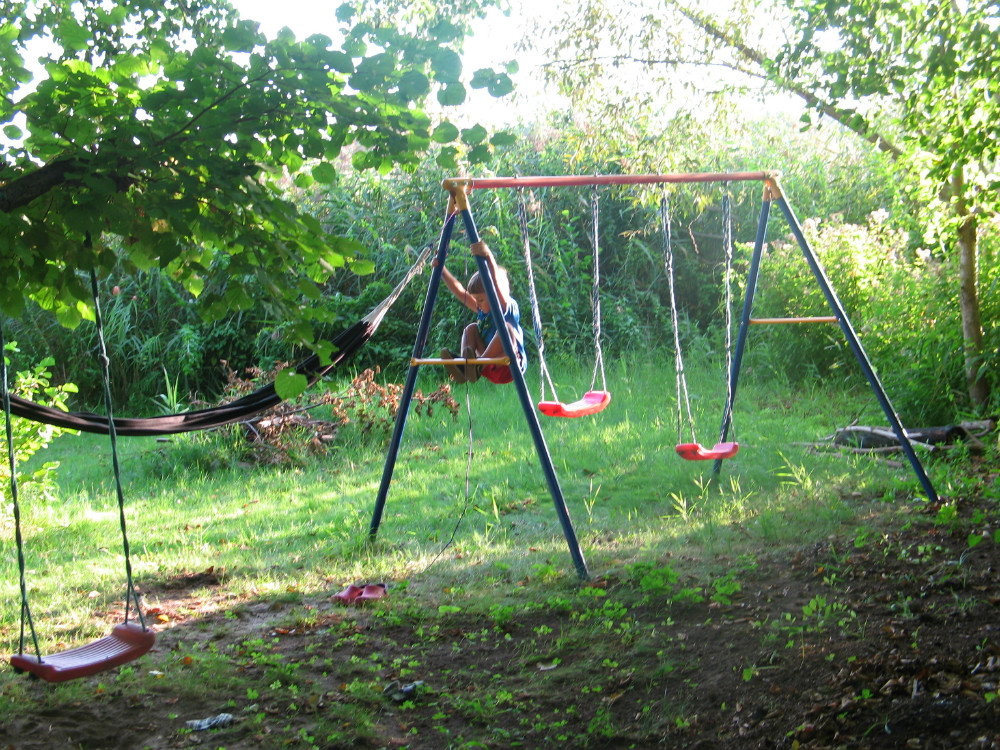 - image: 12