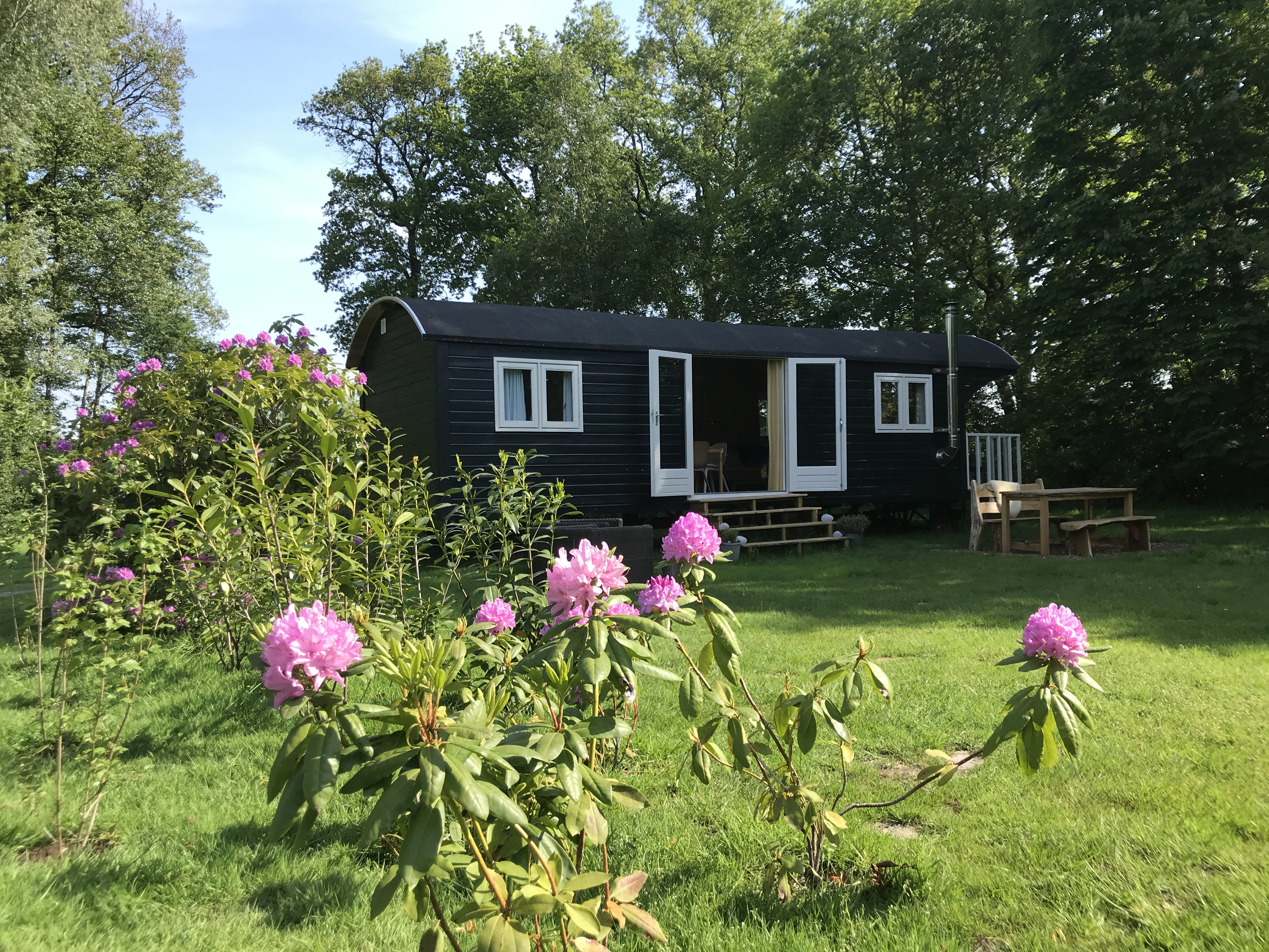 Natuurhuisje in Dwingeloo