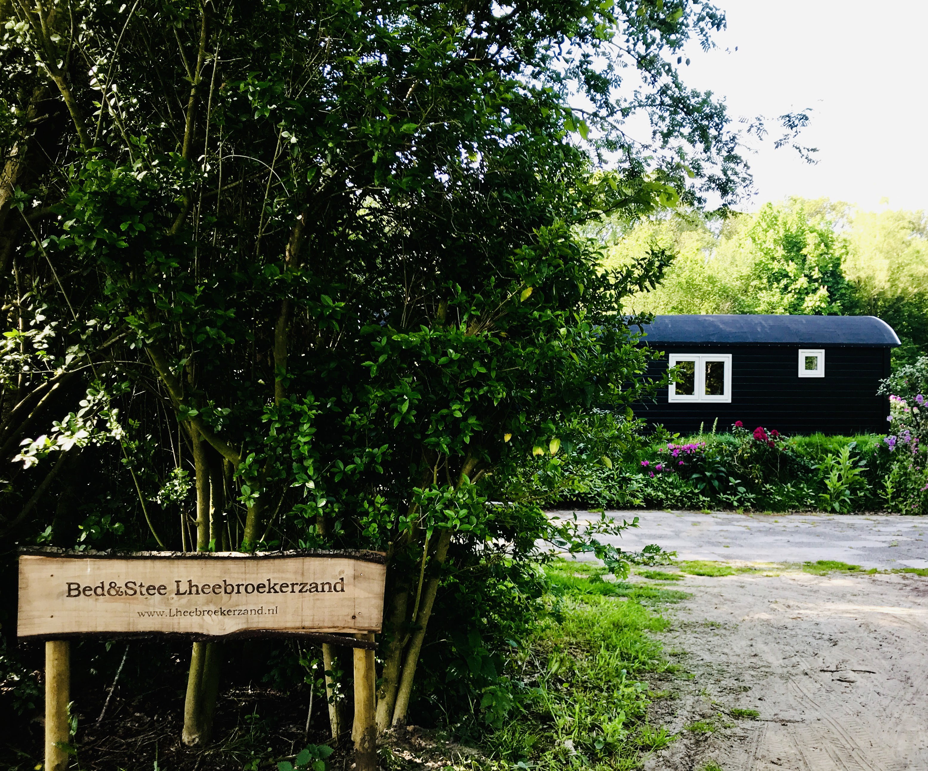 Casa nella natura a Dwingeloo