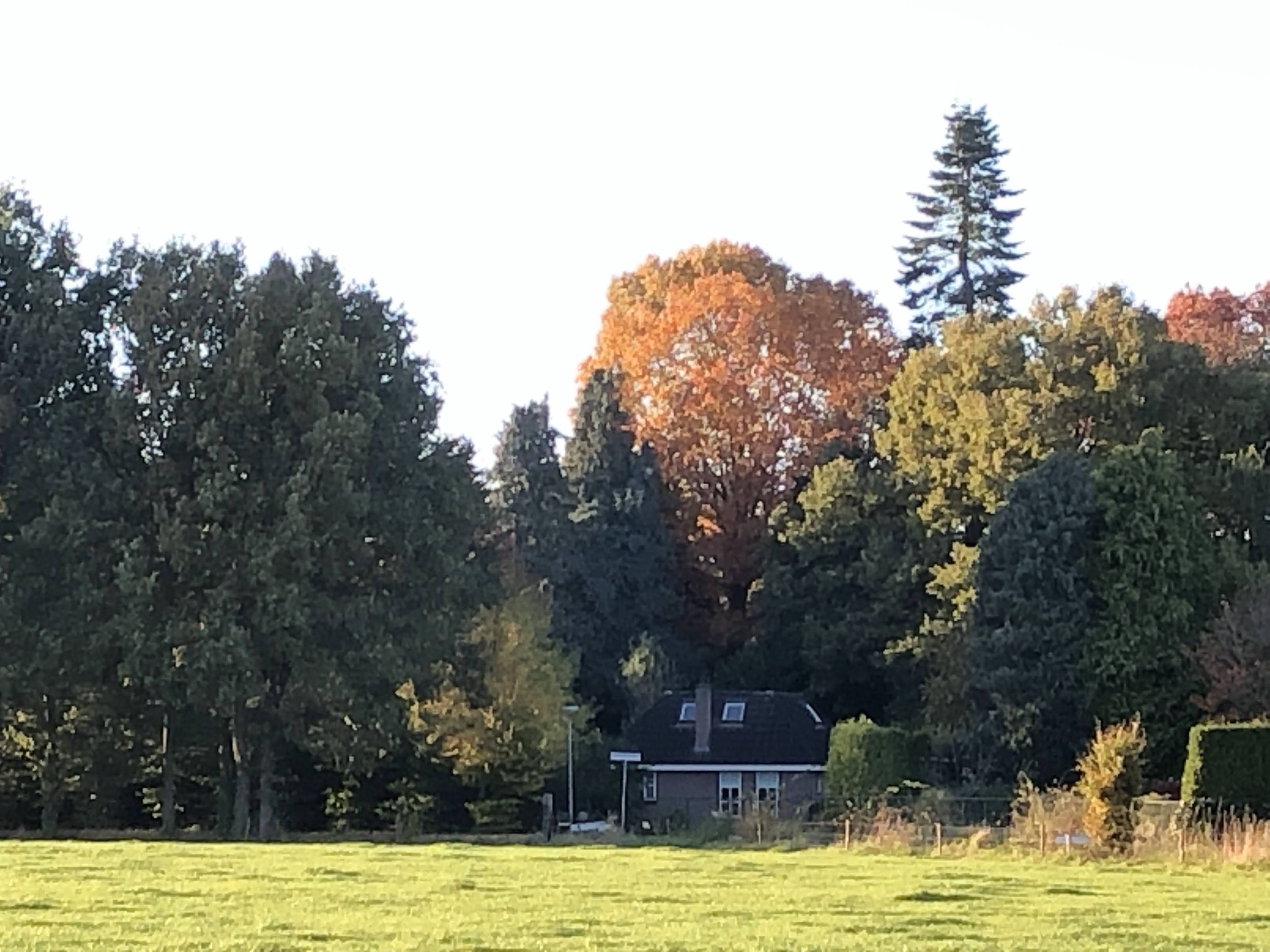 Natuurhuisje in Haaren