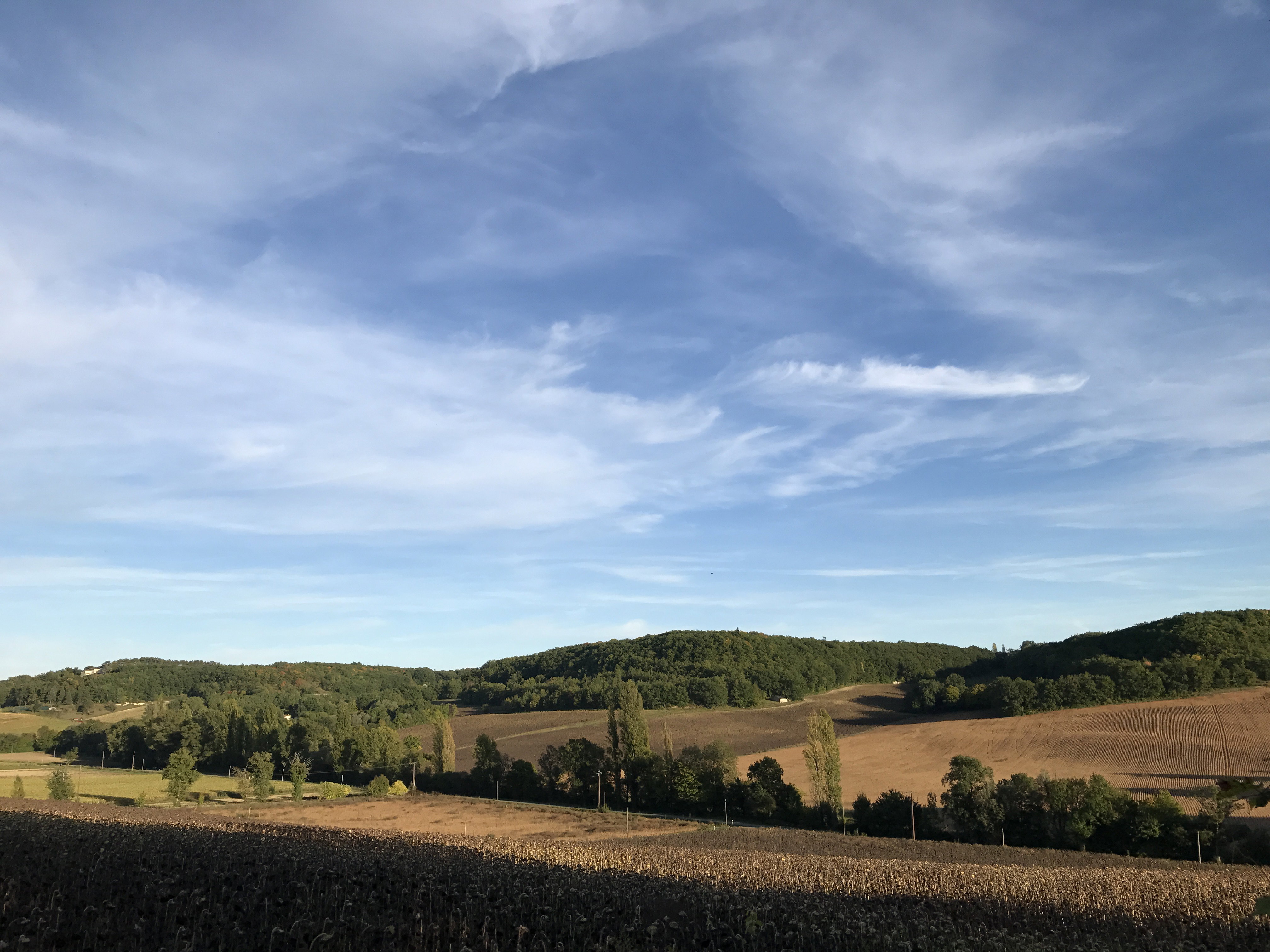 Maison nature à Castelnau - Montratier