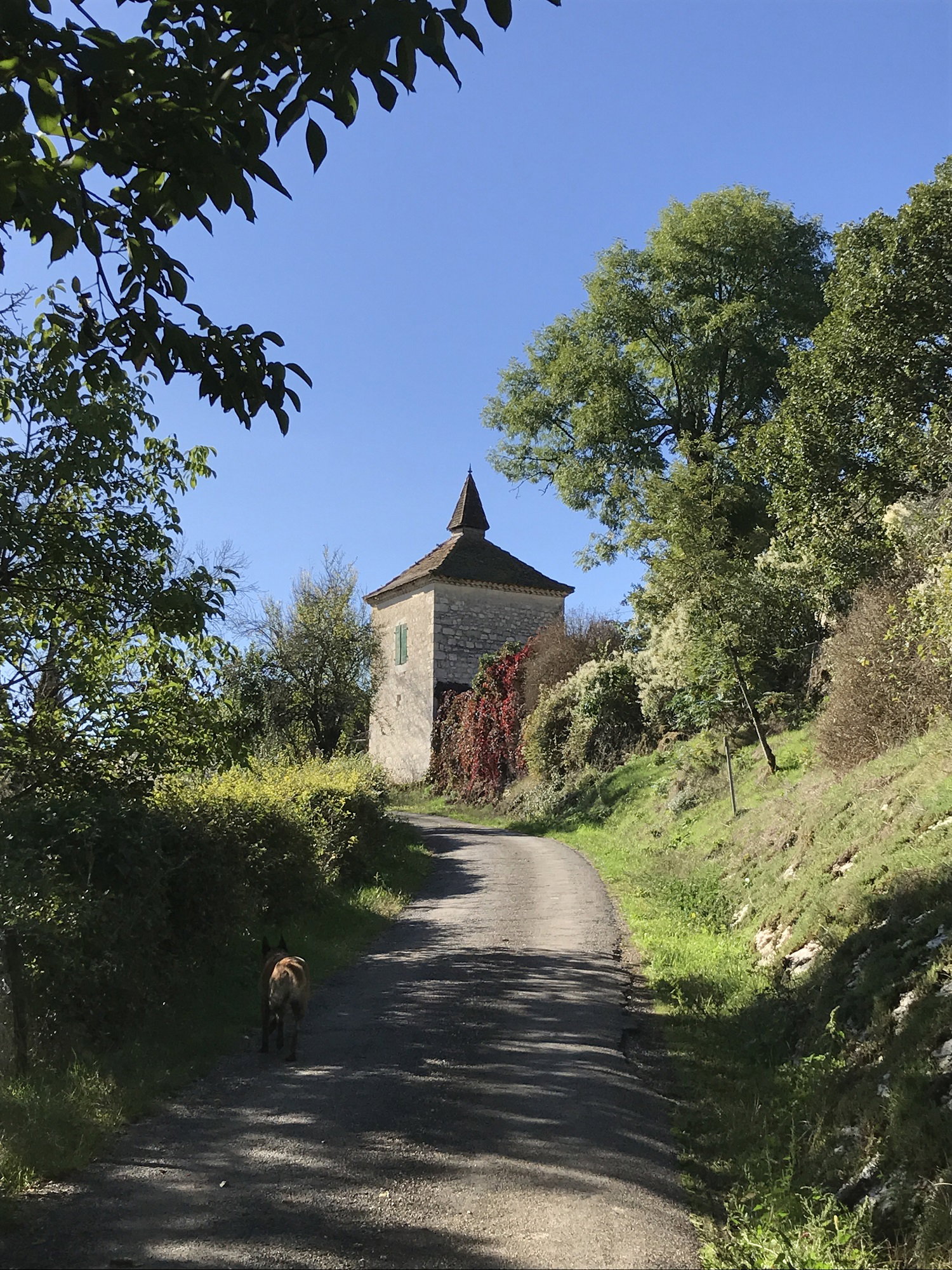 - image: 28