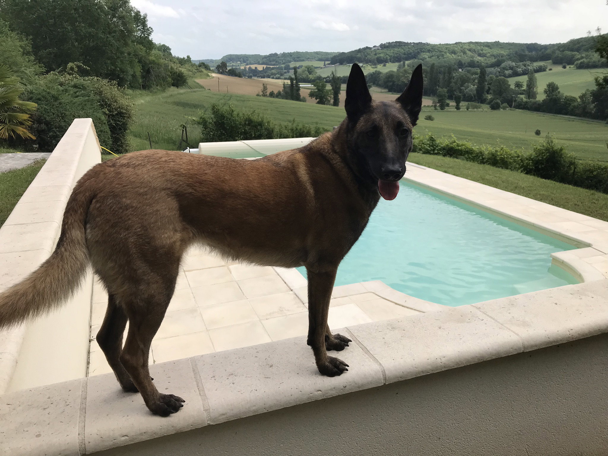 Maison nature à Castelnau - Montratier