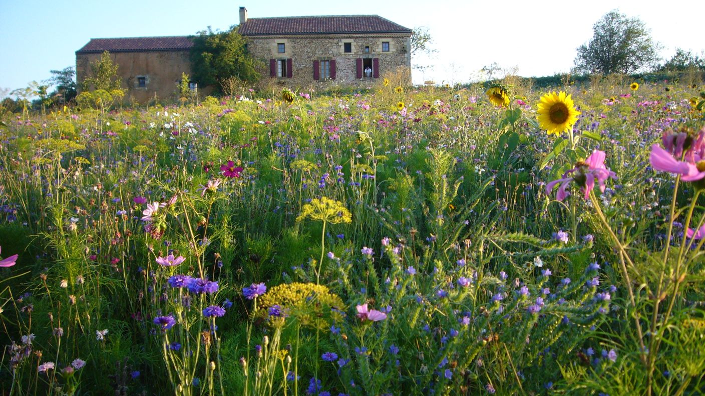 Maison nature à Saint Marcory