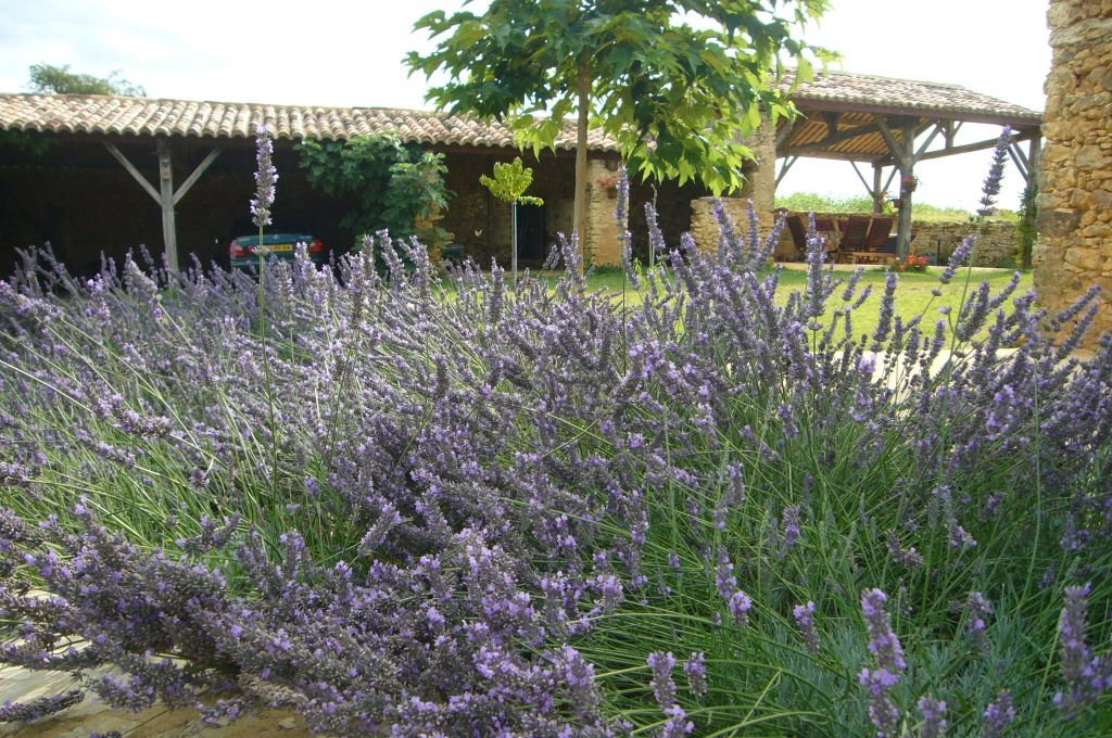 Maison nature à Saint Marcory
