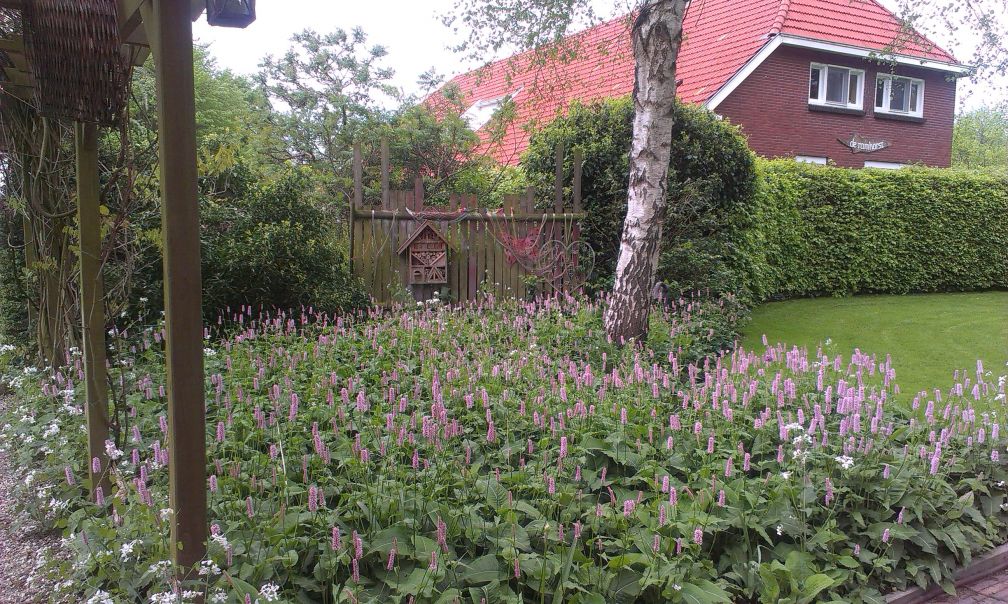 Maison nature à Vriescheloo