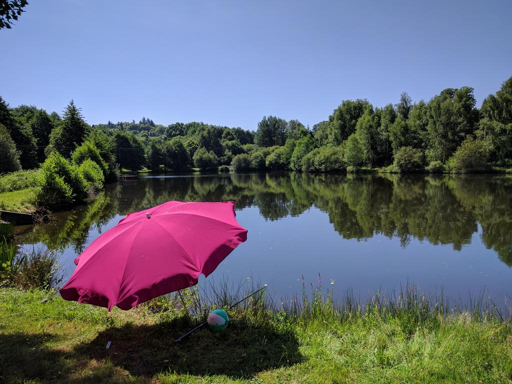 Natuurhuisje in Cussac