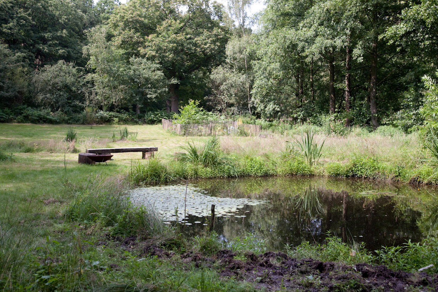 - image: 12