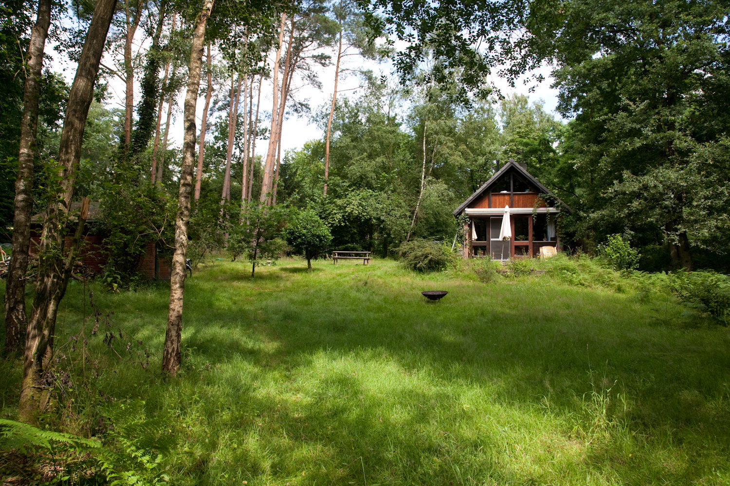 - image: 1