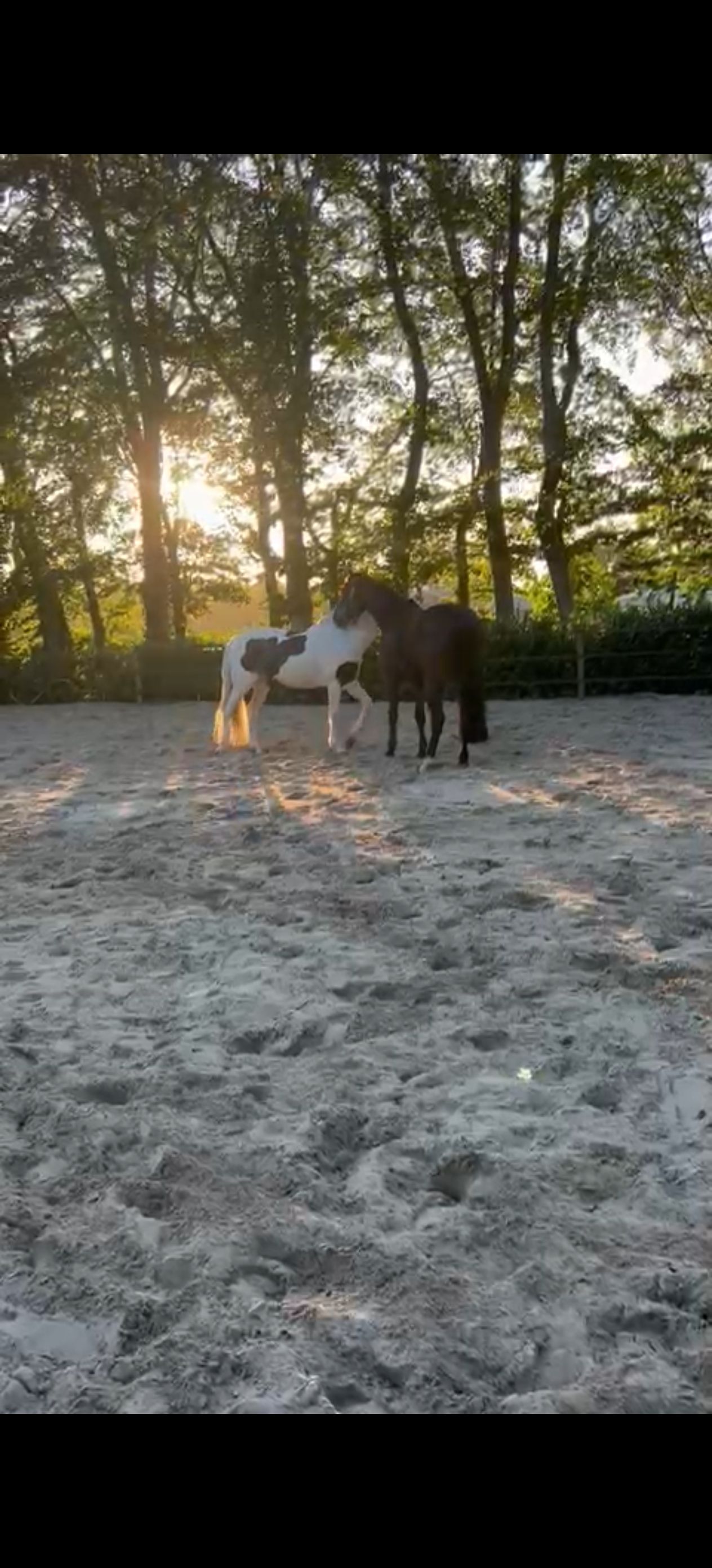 Natuurhuisje in Steggerda