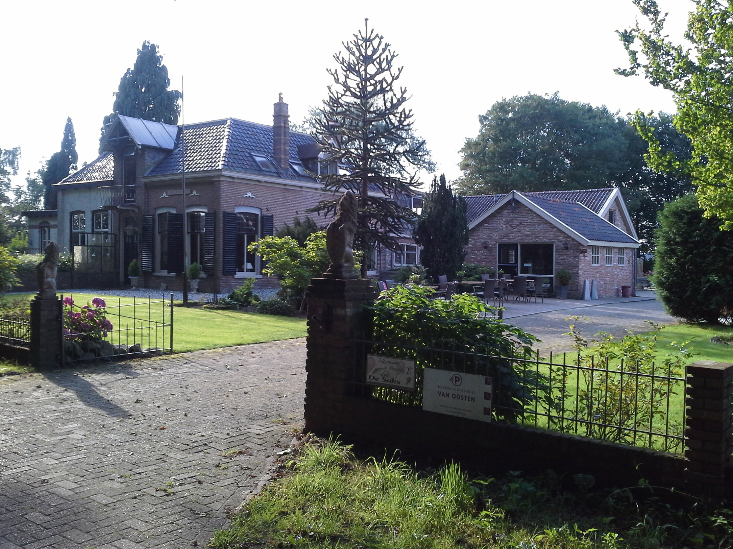 - image: 11