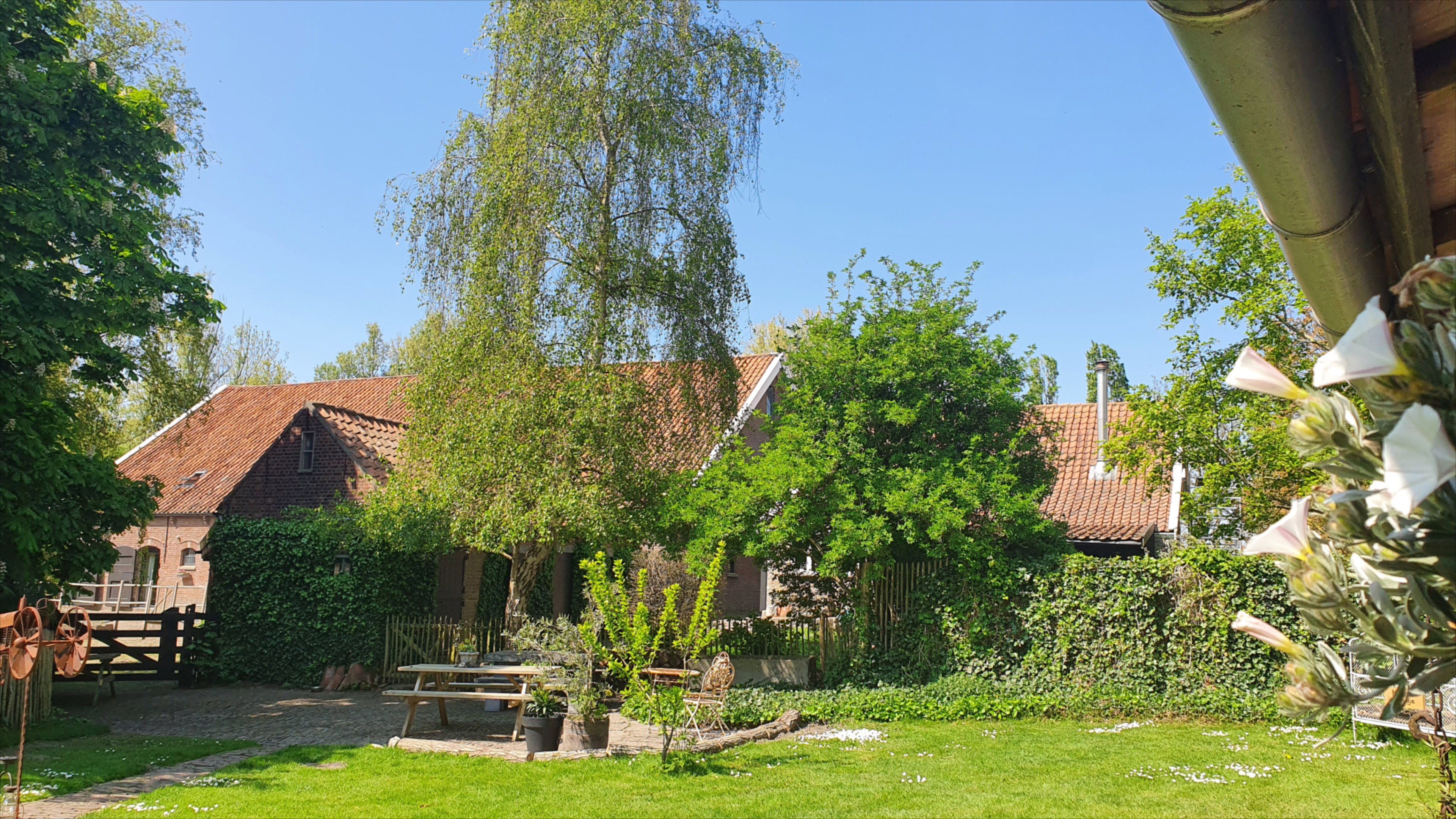 Natuurhuisje in Kerkwerve