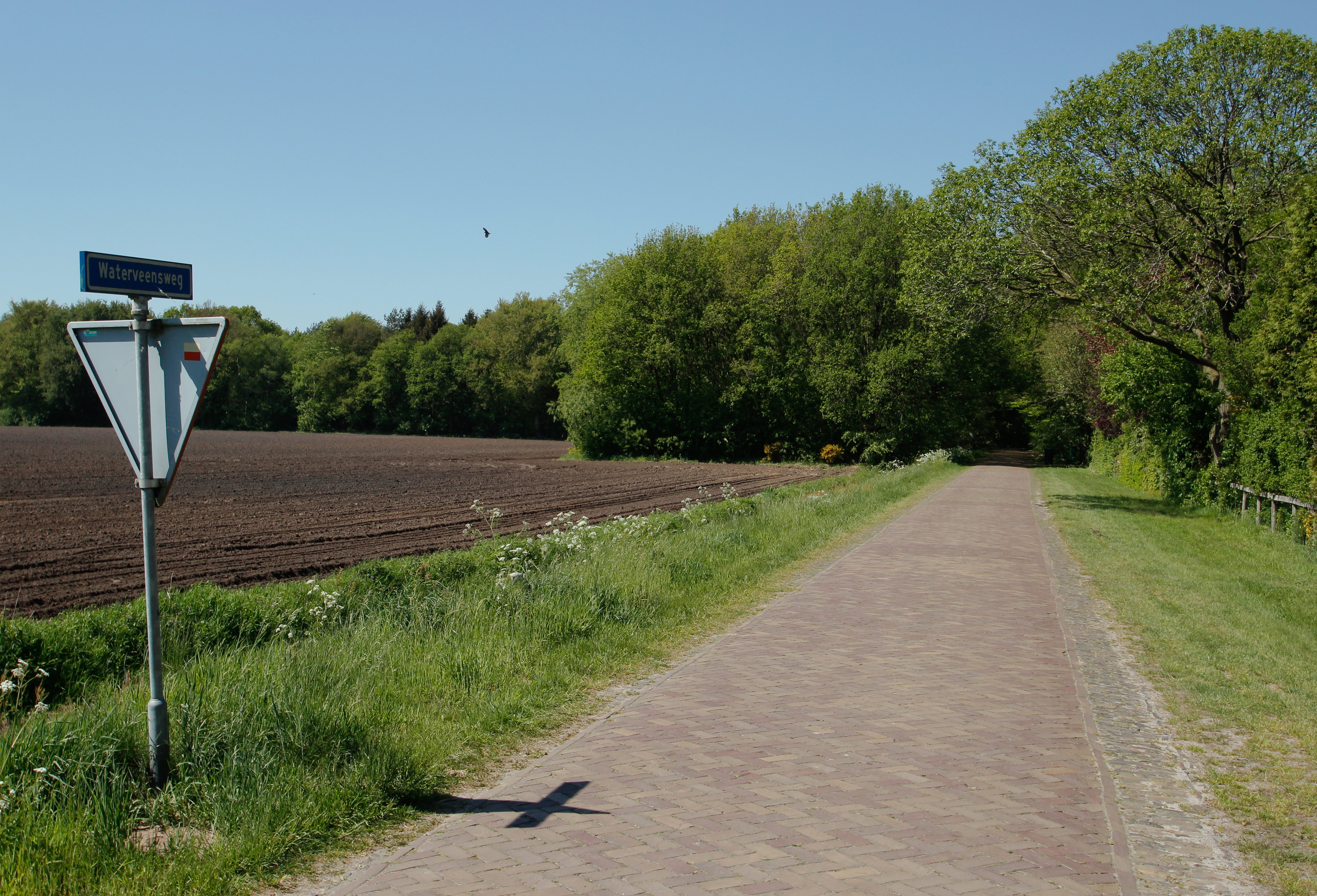 - image: 13