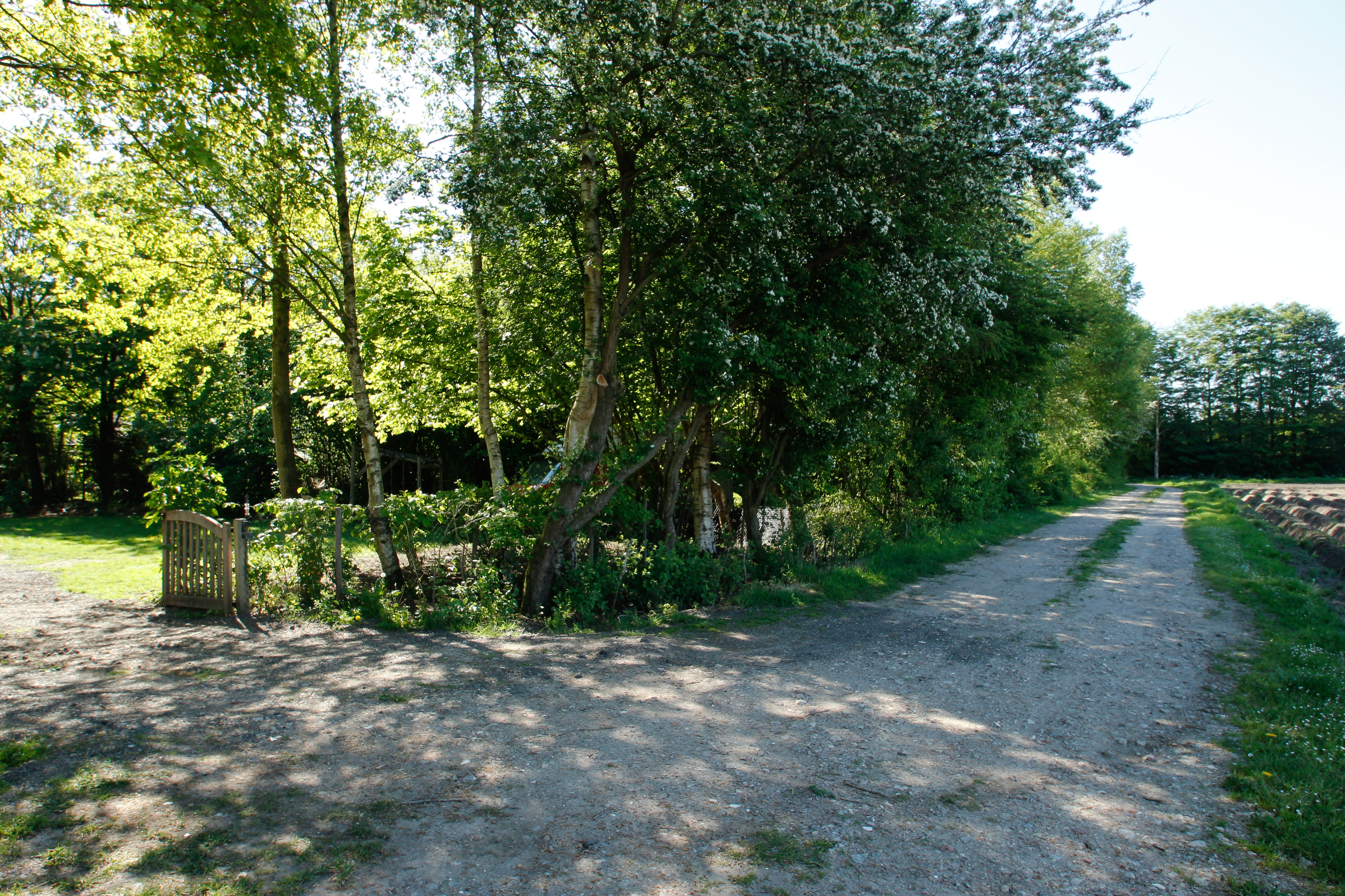 - image: 11