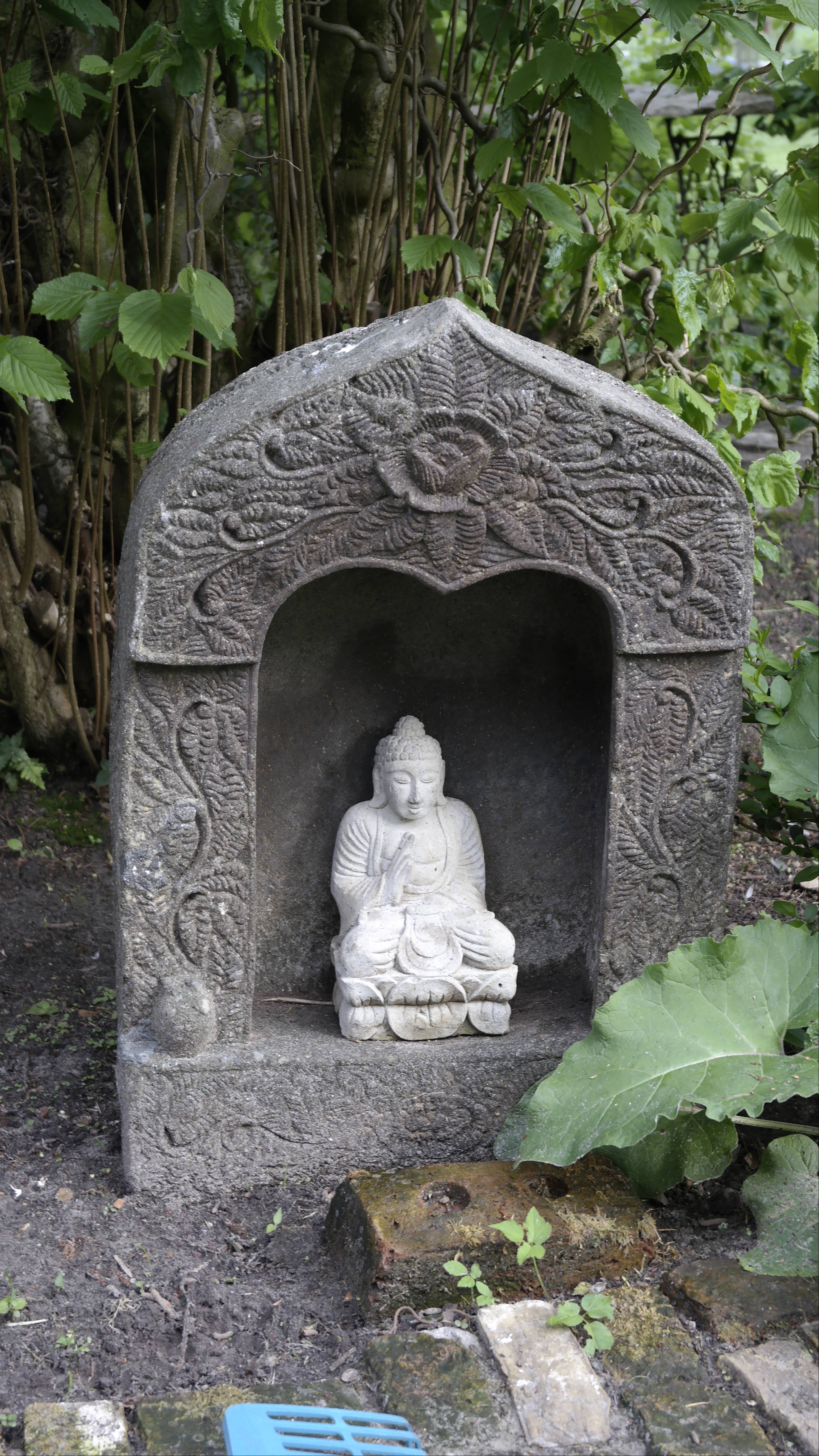 - image: 16