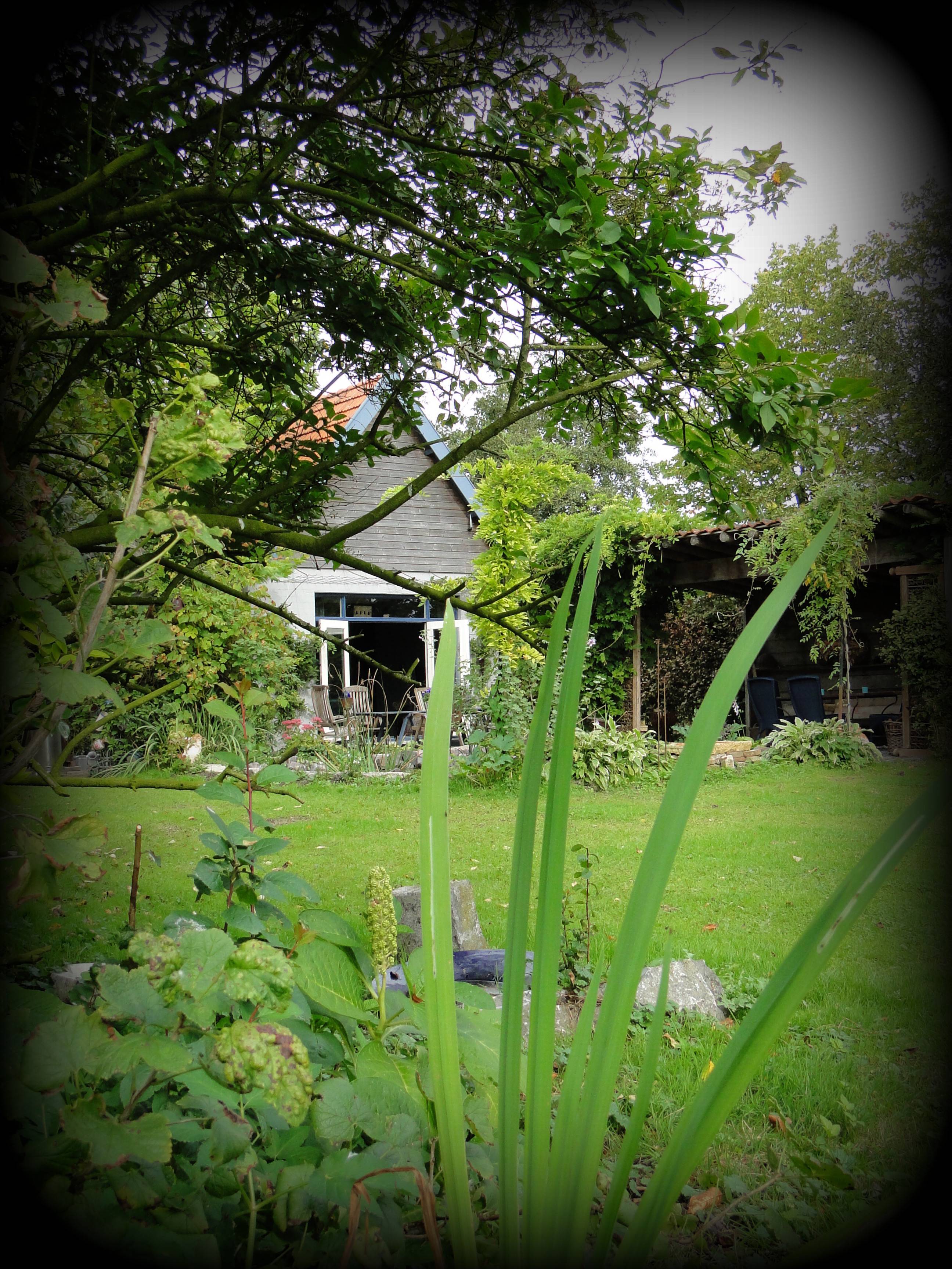 Maison nature à Hoevelaken
