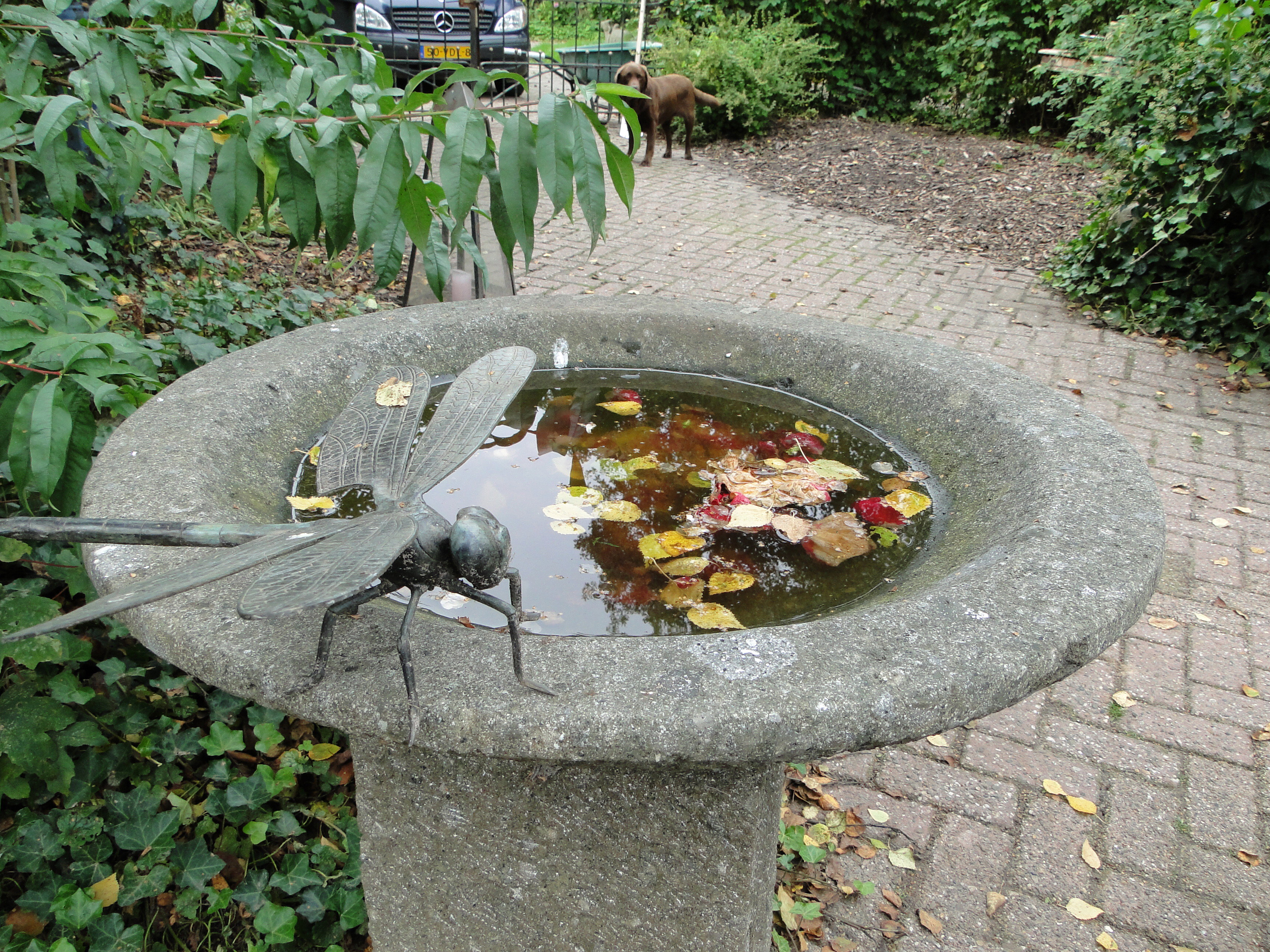 Maison nature à Hoevelaken