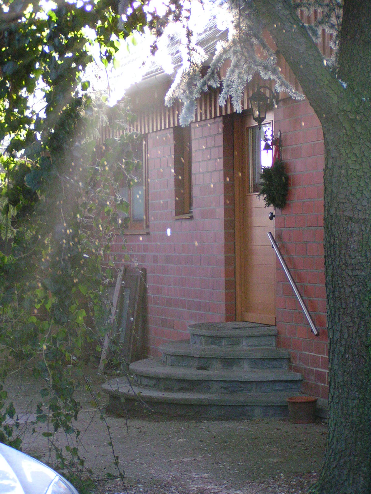 - image: 6