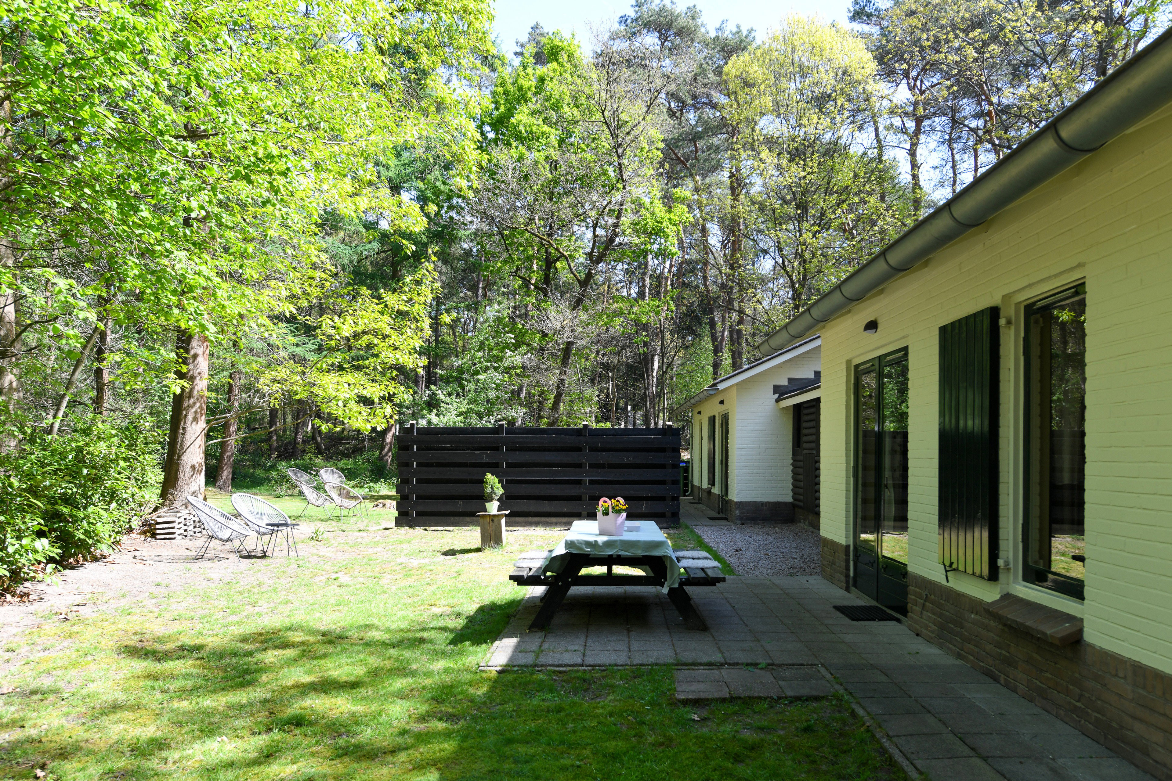 - image: 13