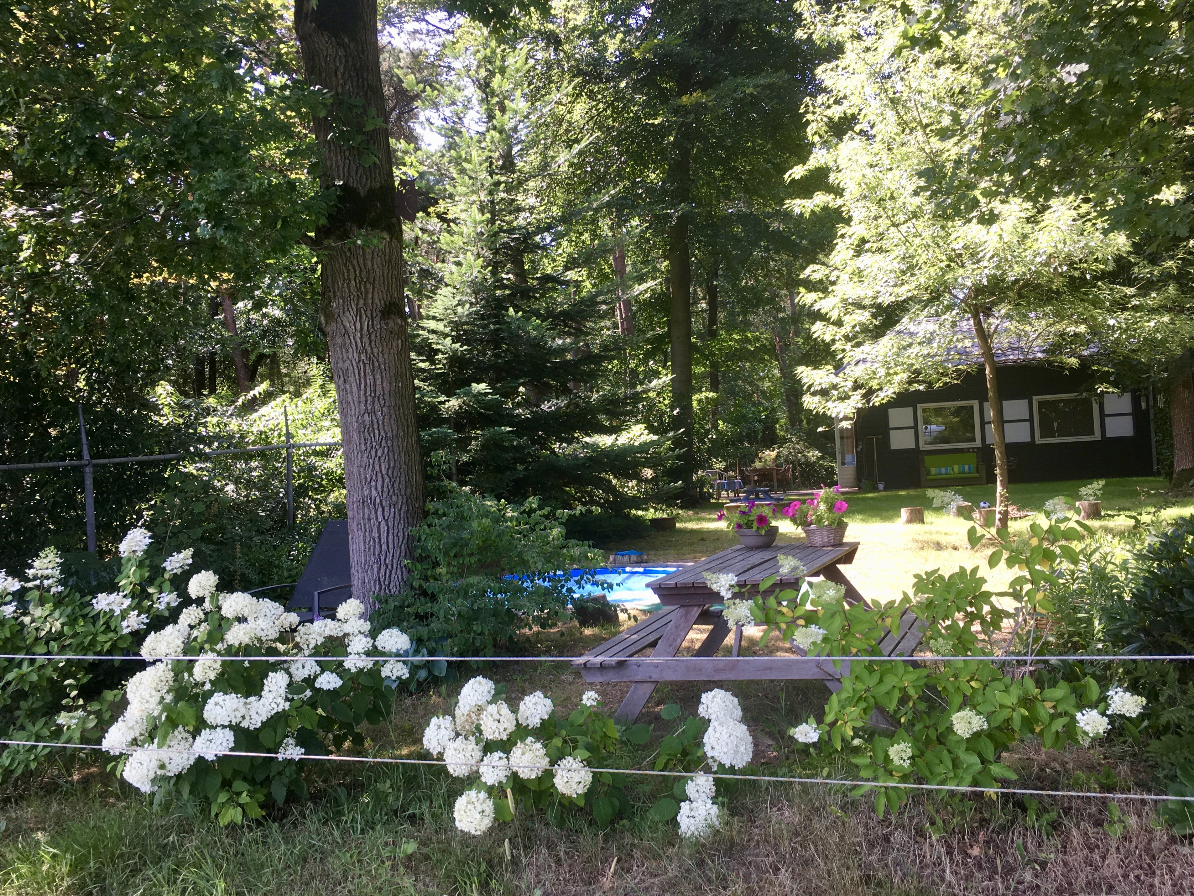 Casa nella natura a Riethoven