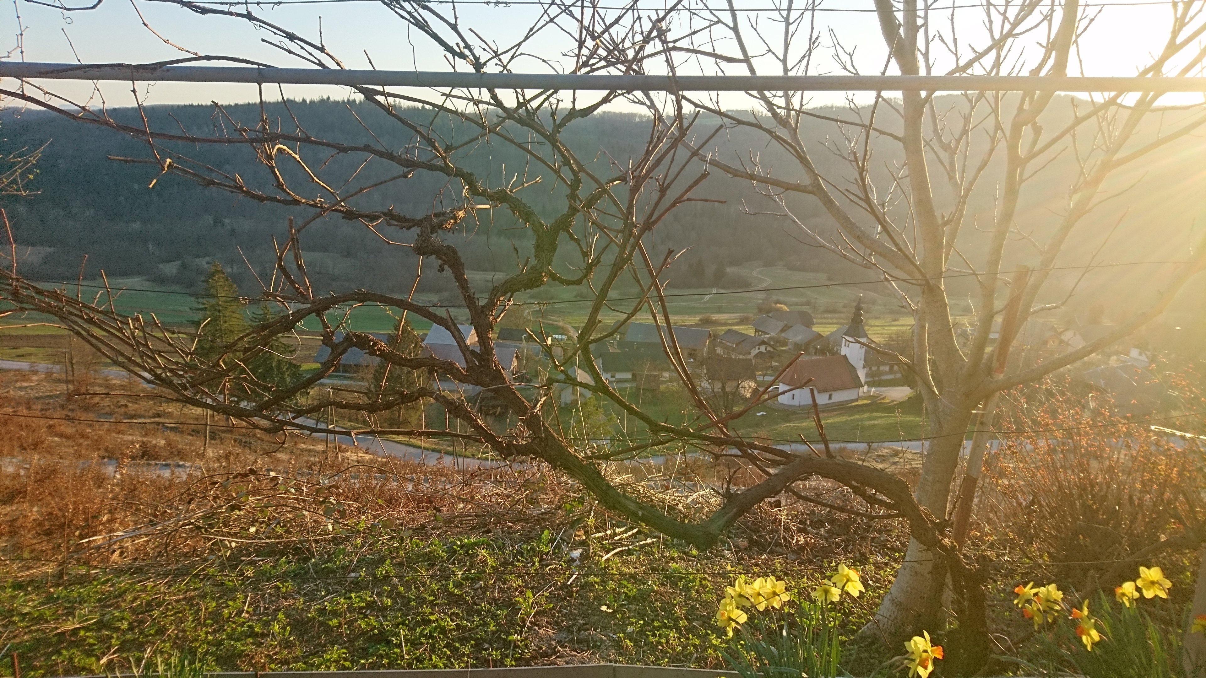 Maison nature à Žužemberk