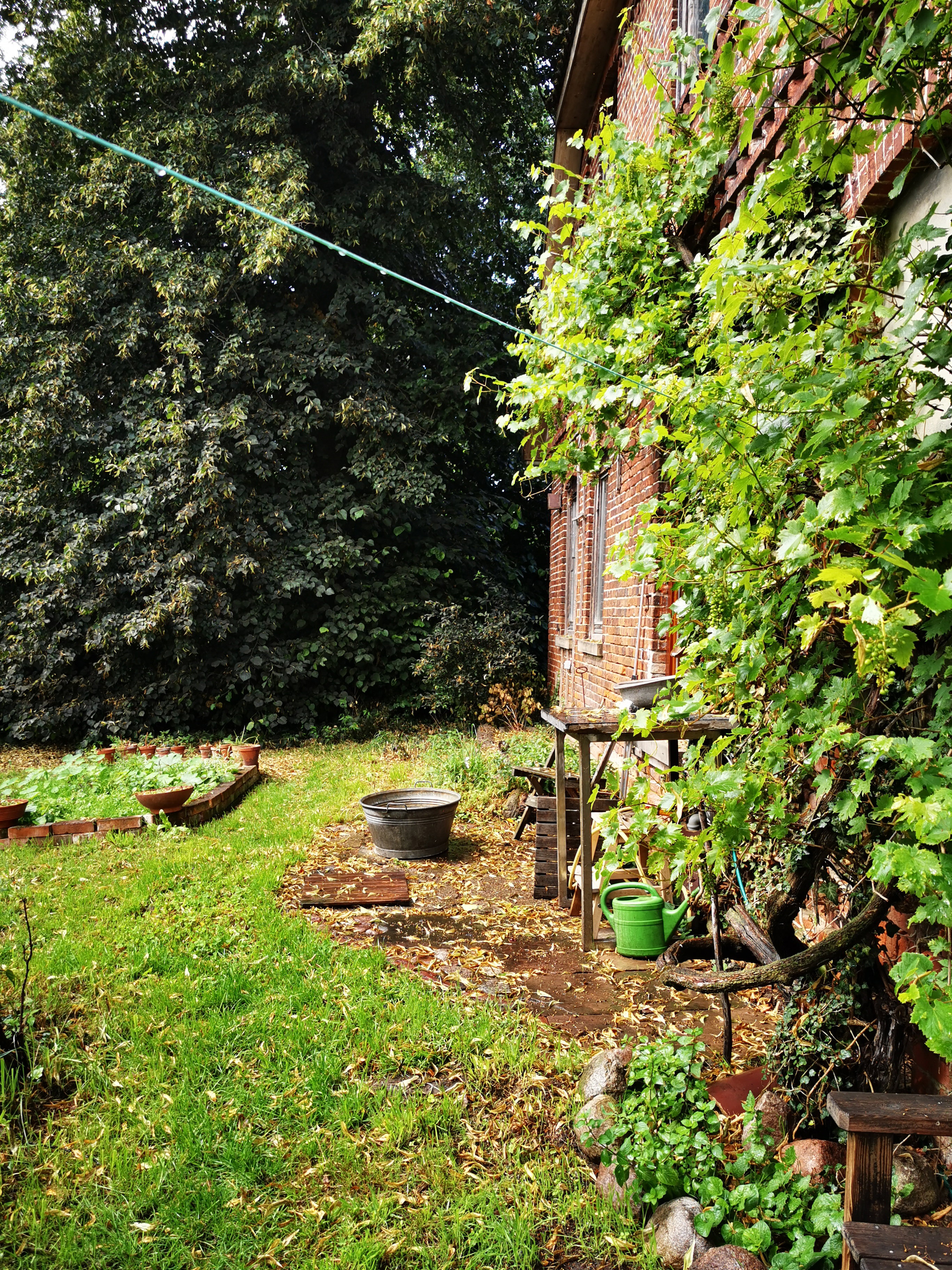 - image: 11