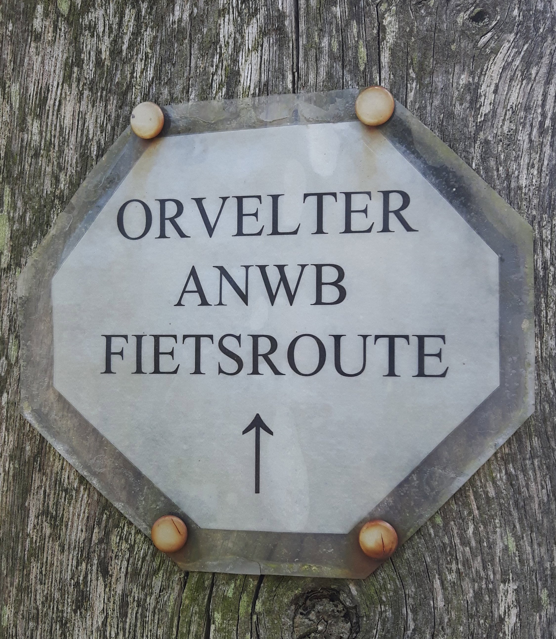 - image: 26