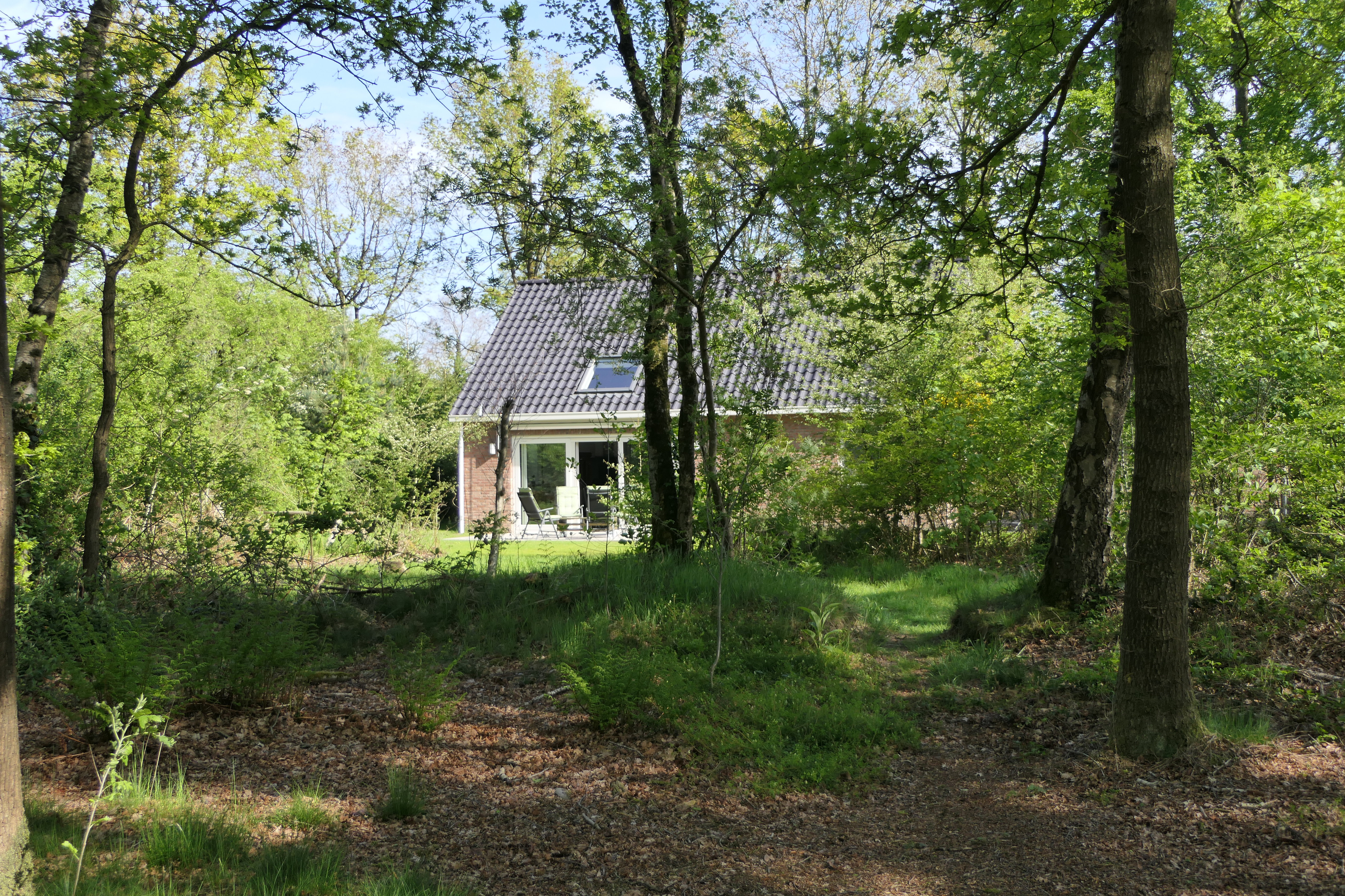 Maison nature à Westerbork