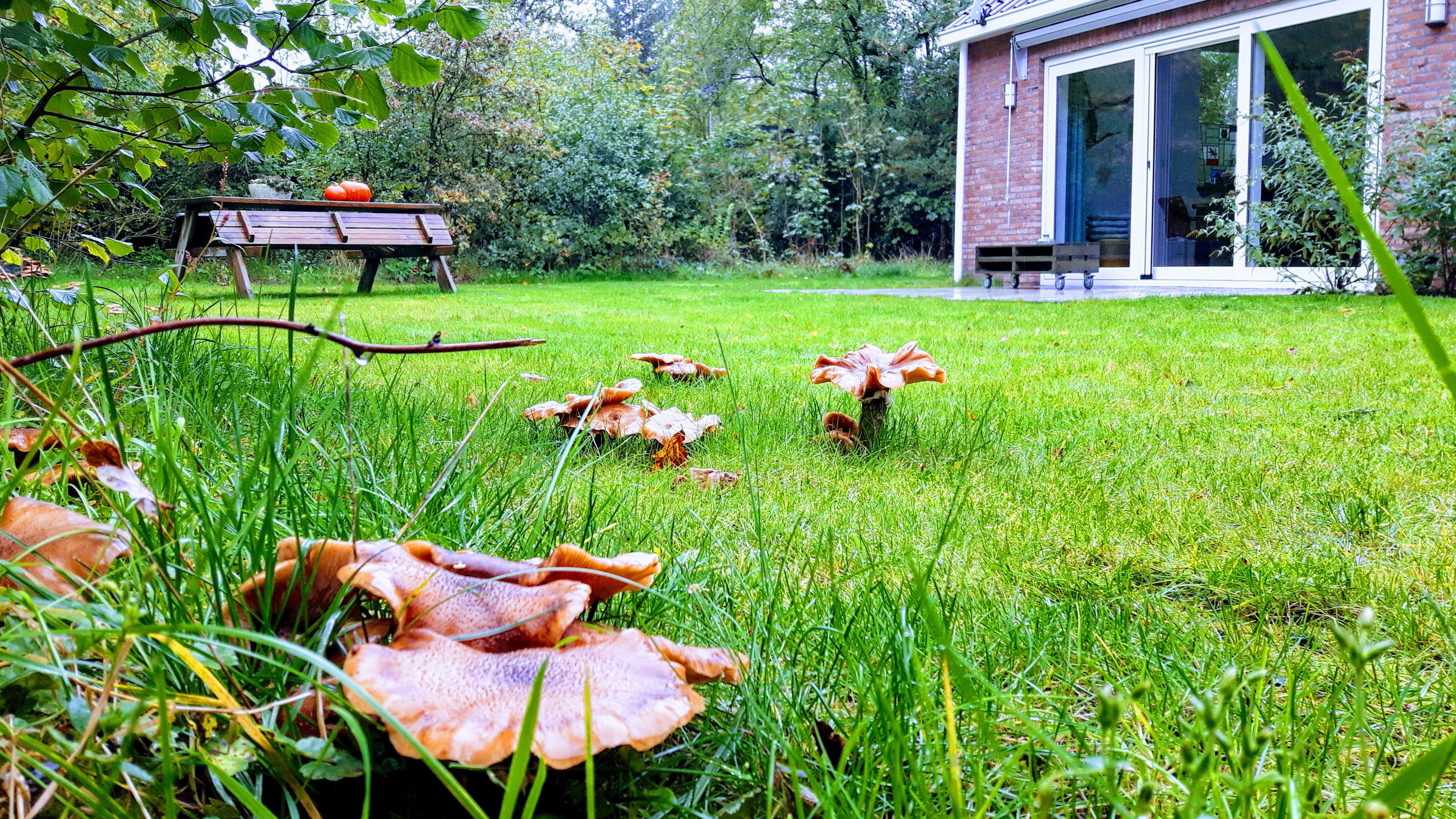 Natuurhuisje in Westerbork