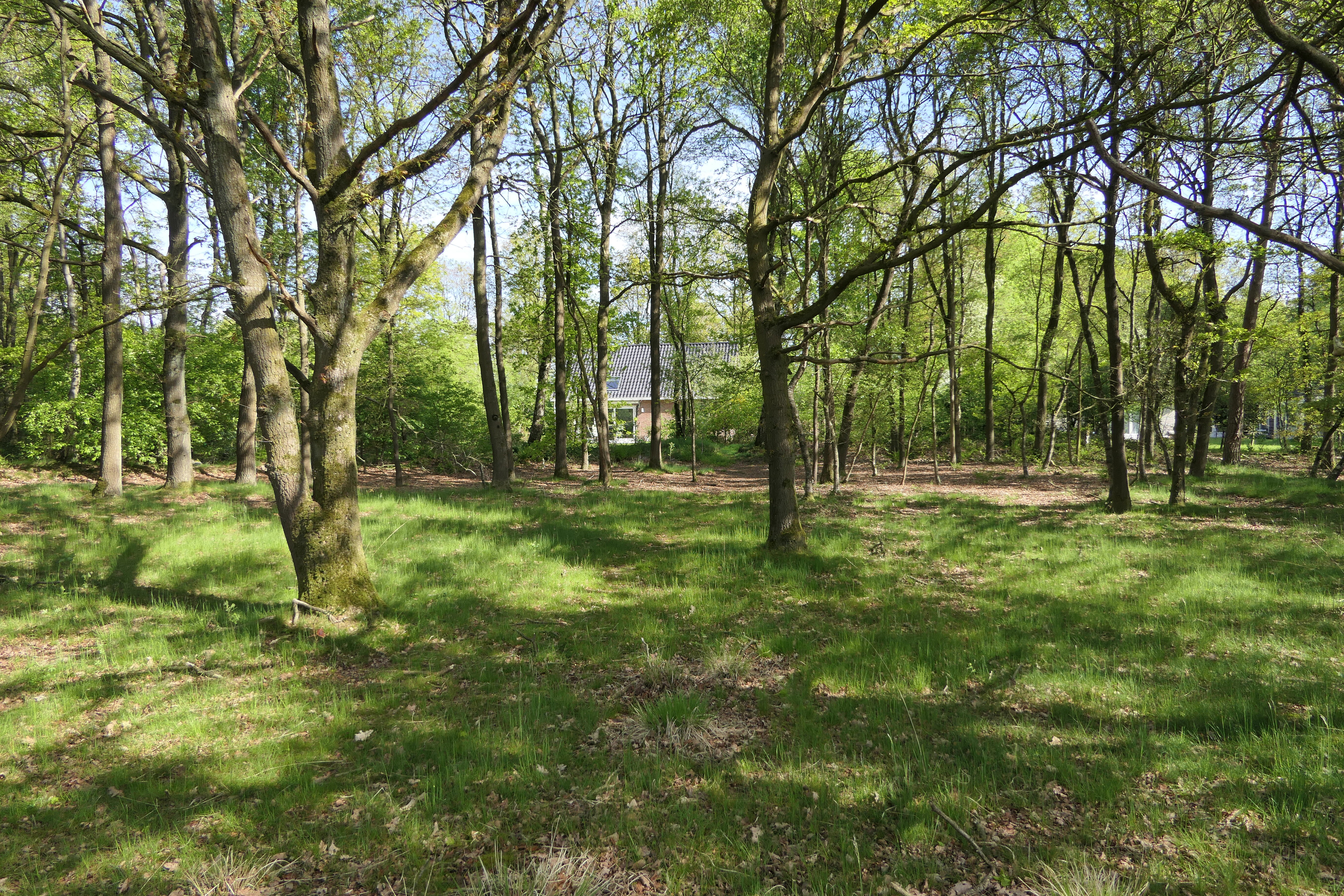 Maison nature à Westerbork