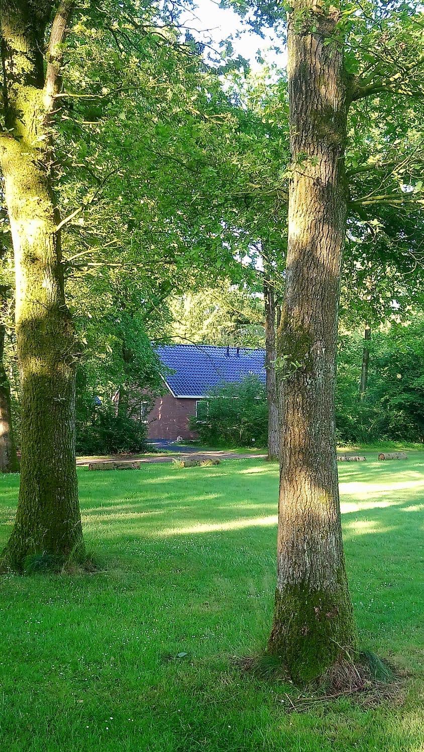 Maison nature à Westerbork