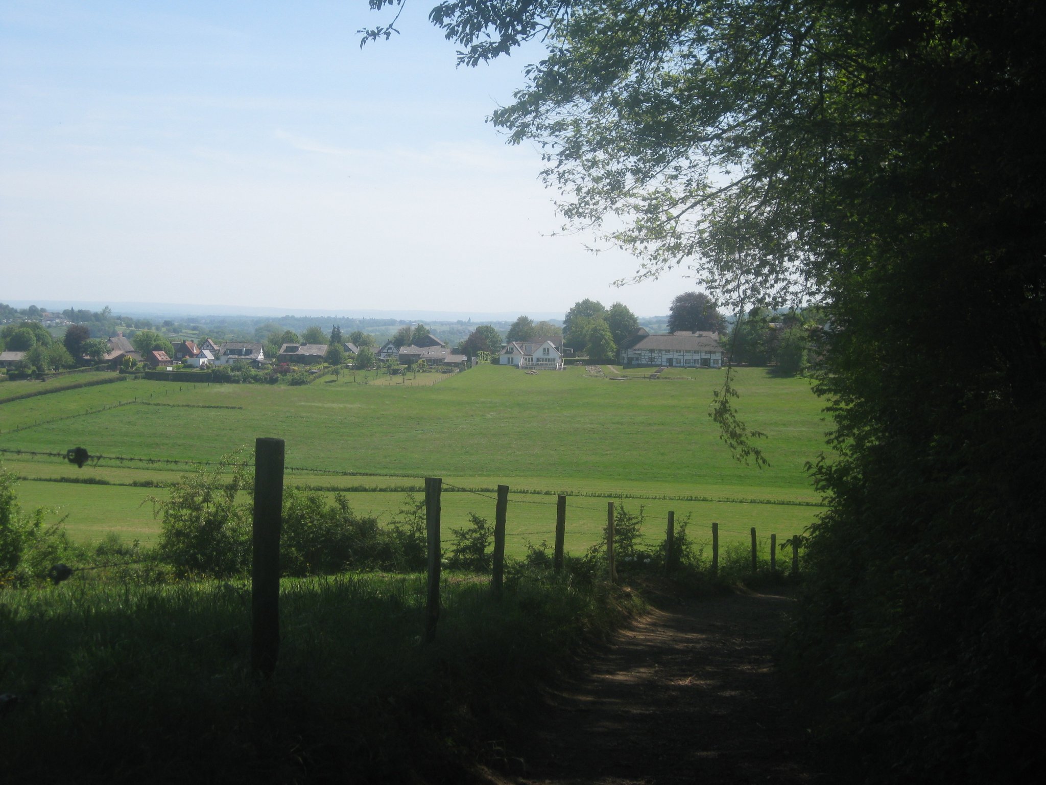 - image: 12