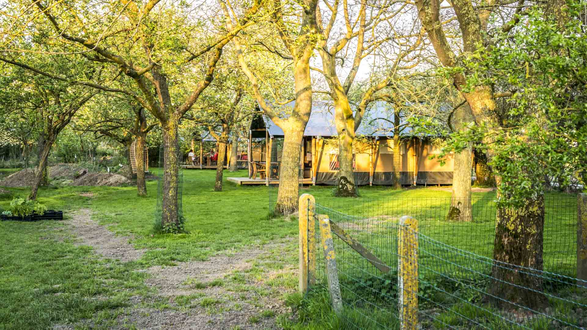 Natuurhuisje in Graauw