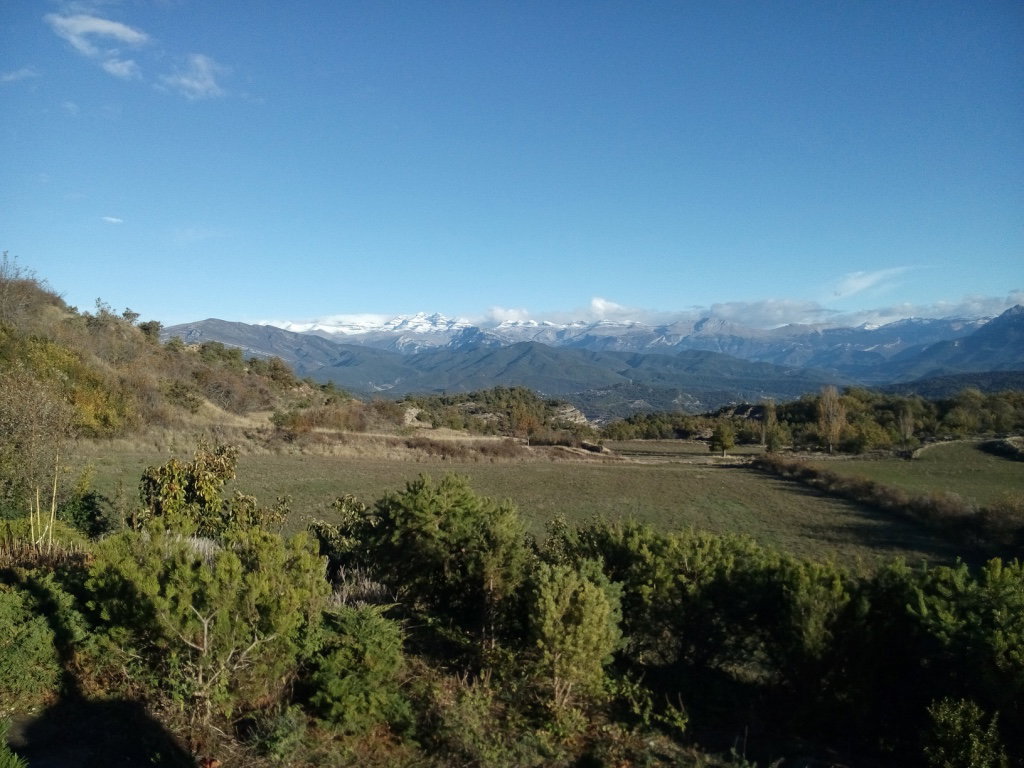 - image: 12